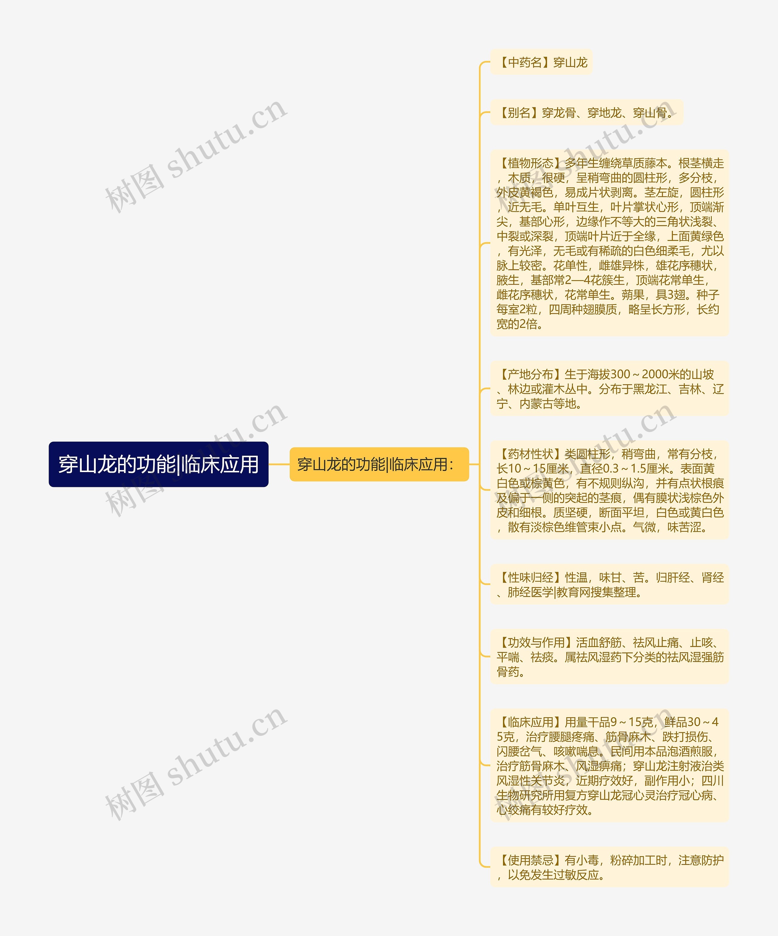 穿山龙的功能|临床应用
