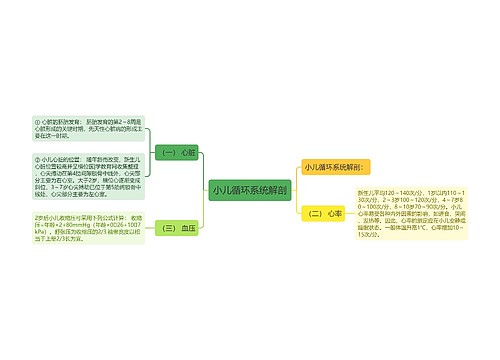 小儿循环系统解剖