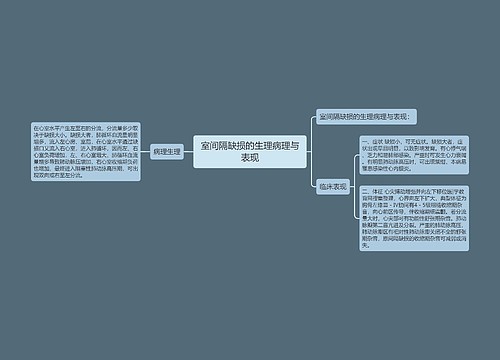 室间隔缺损的生理病理与表现