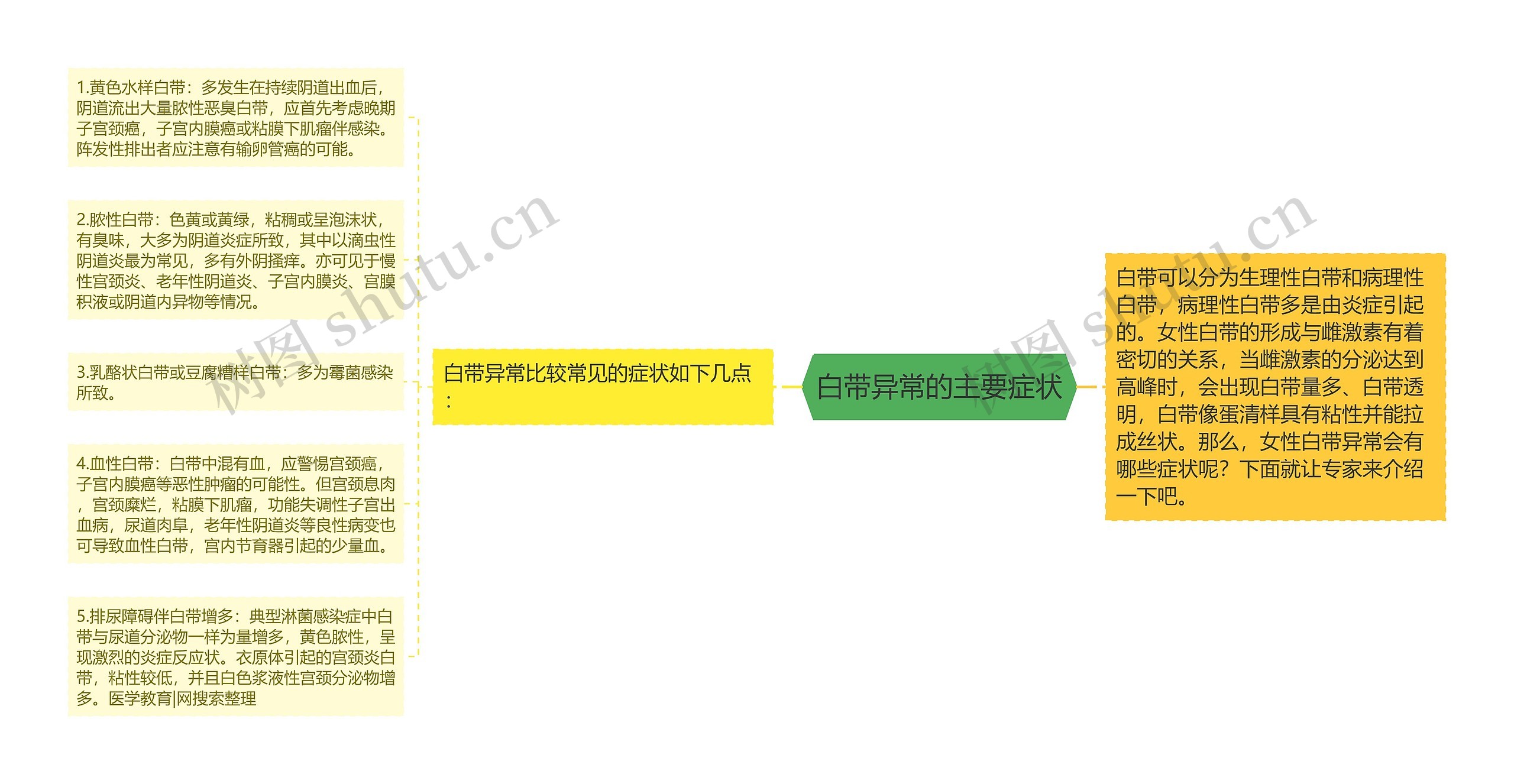 白带异常的主要症状思维导图