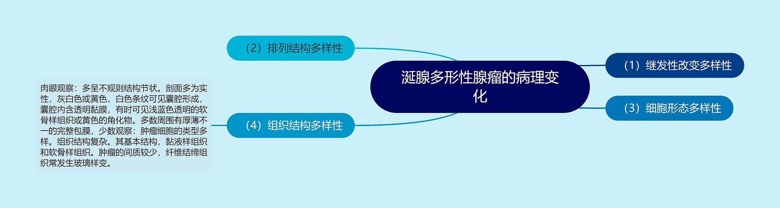 涎腺多形性腺瘤的病理变化思维导图