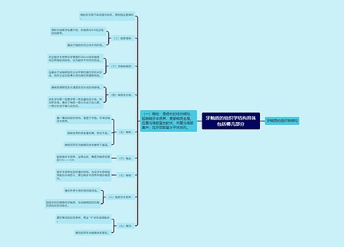 牙釉质的组织学结构具体包括哪几部分