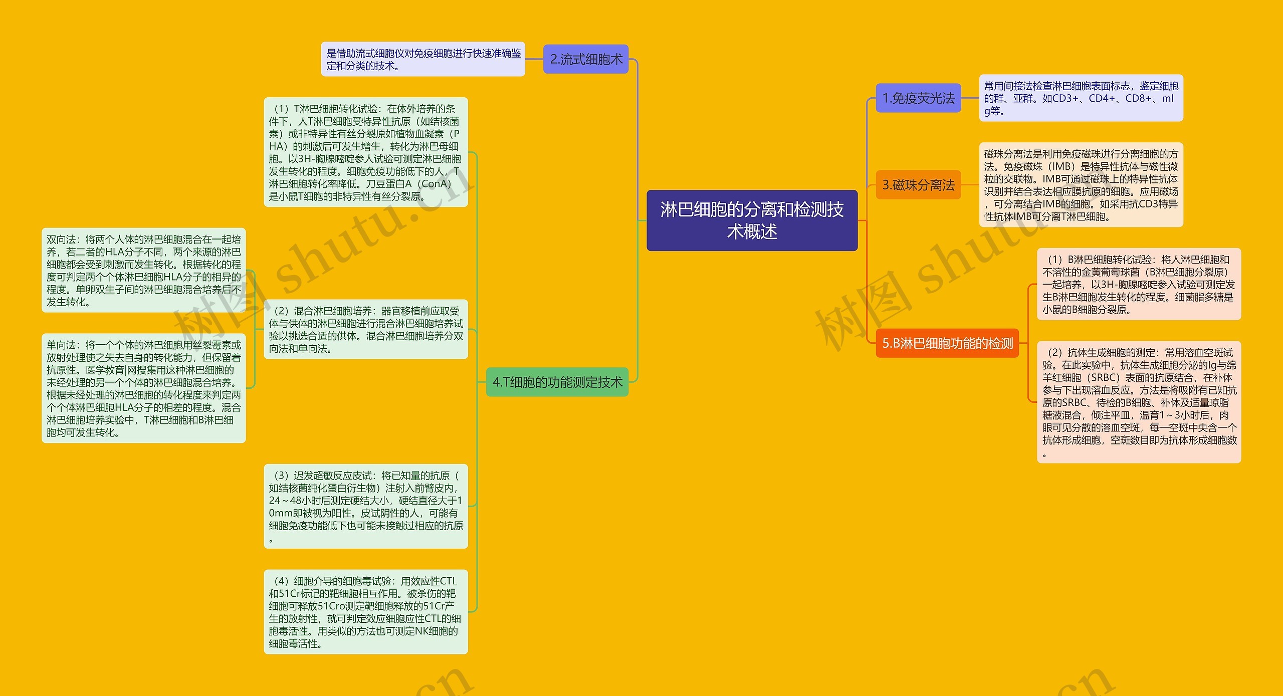 淋巴细胞的分离和检测技术概述思维导图