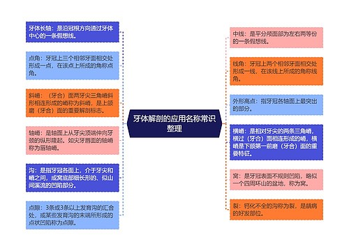 牙体解剖的应用名称常识整理