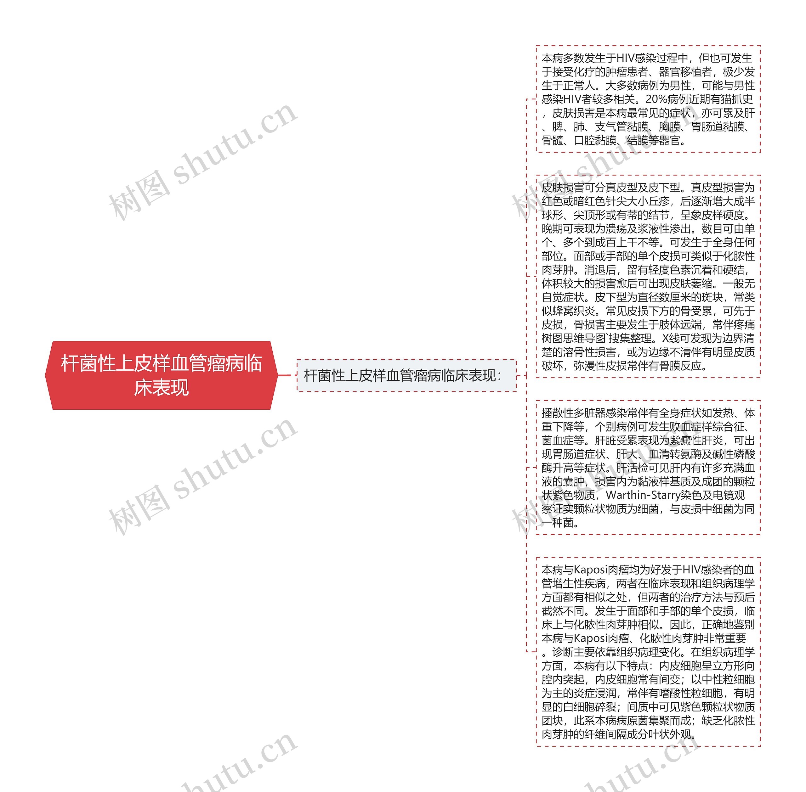 杆菌性上皮样血管瘤病临床表现思维导图