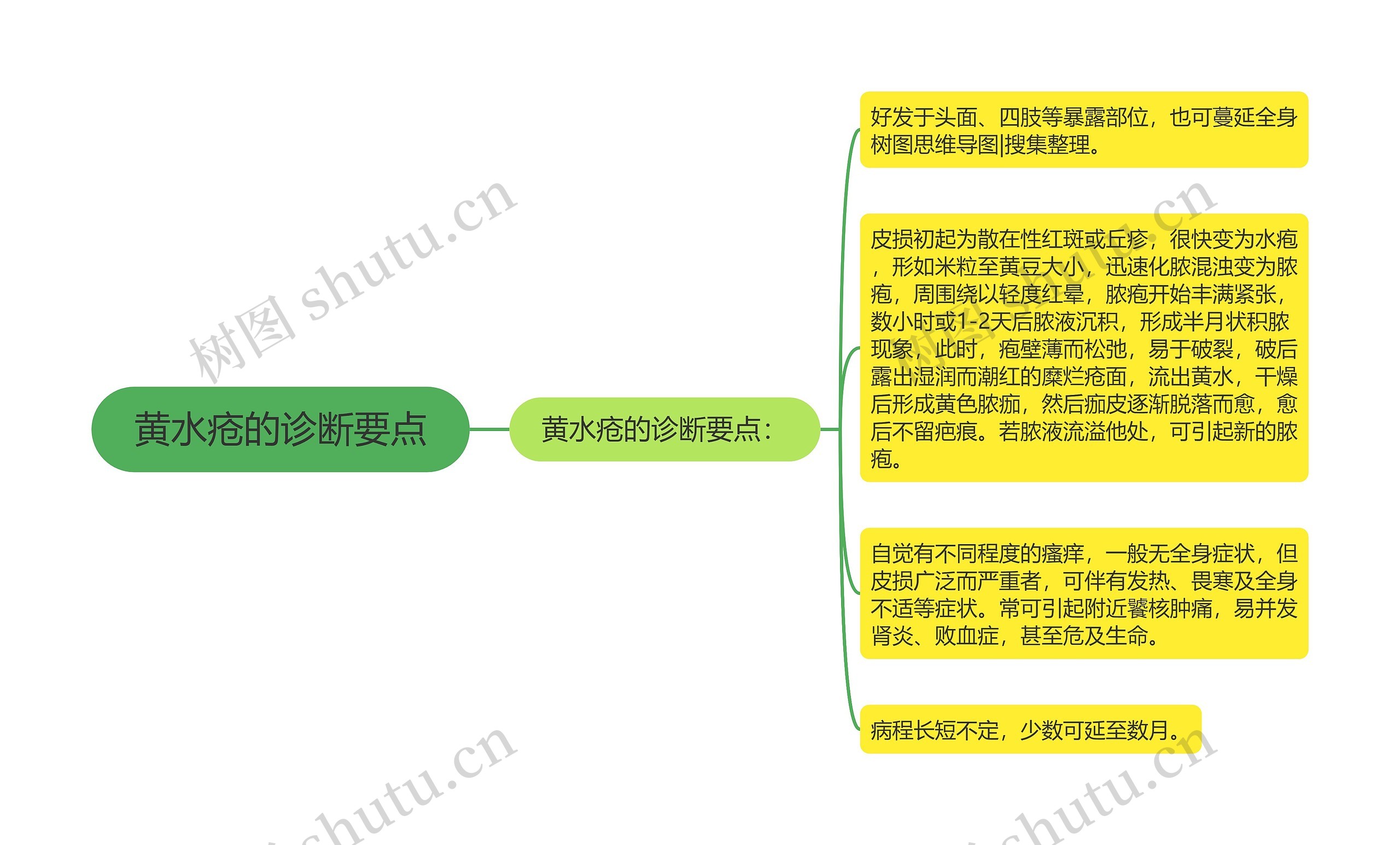 黄水疮的诊断要点思维导图