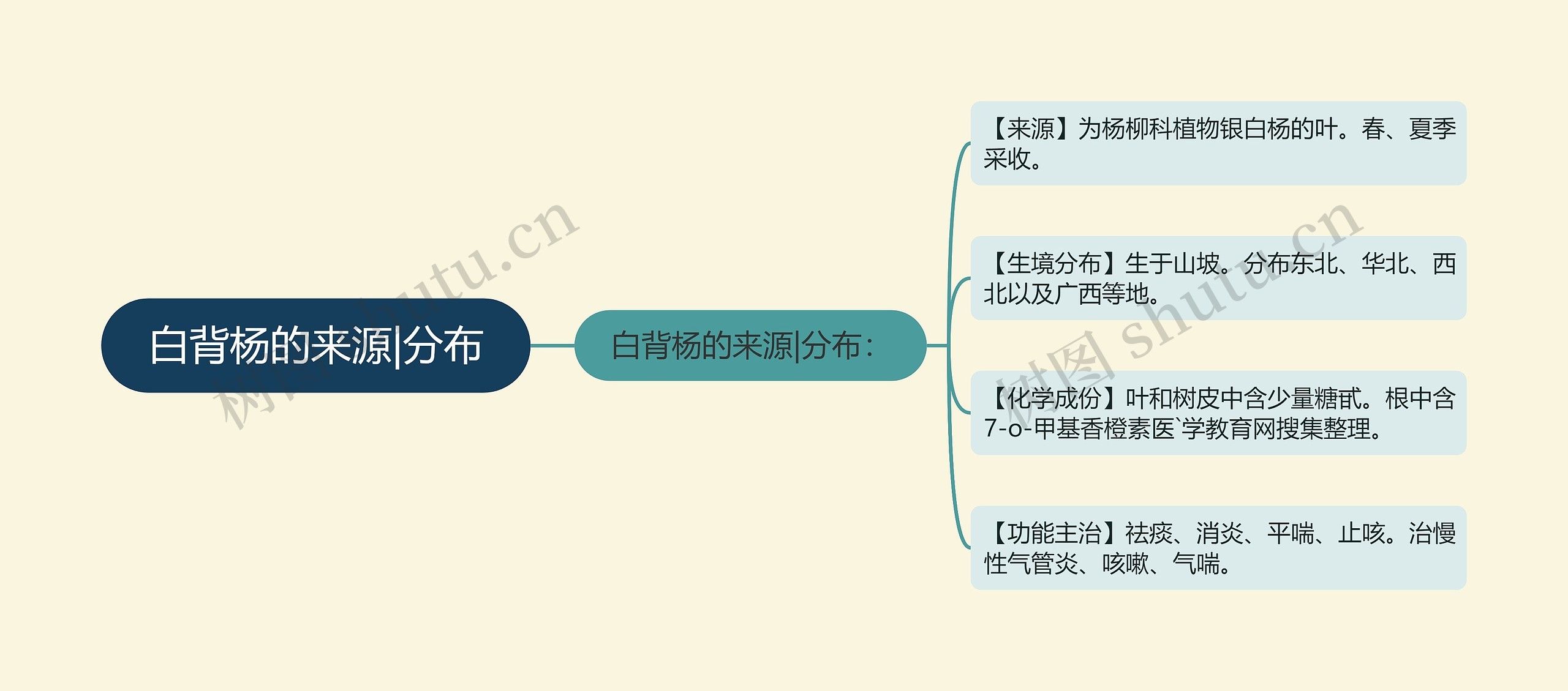 白背杨的来源|分布思维导图