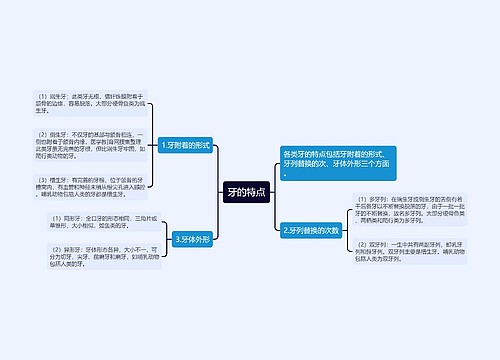 牙的特点