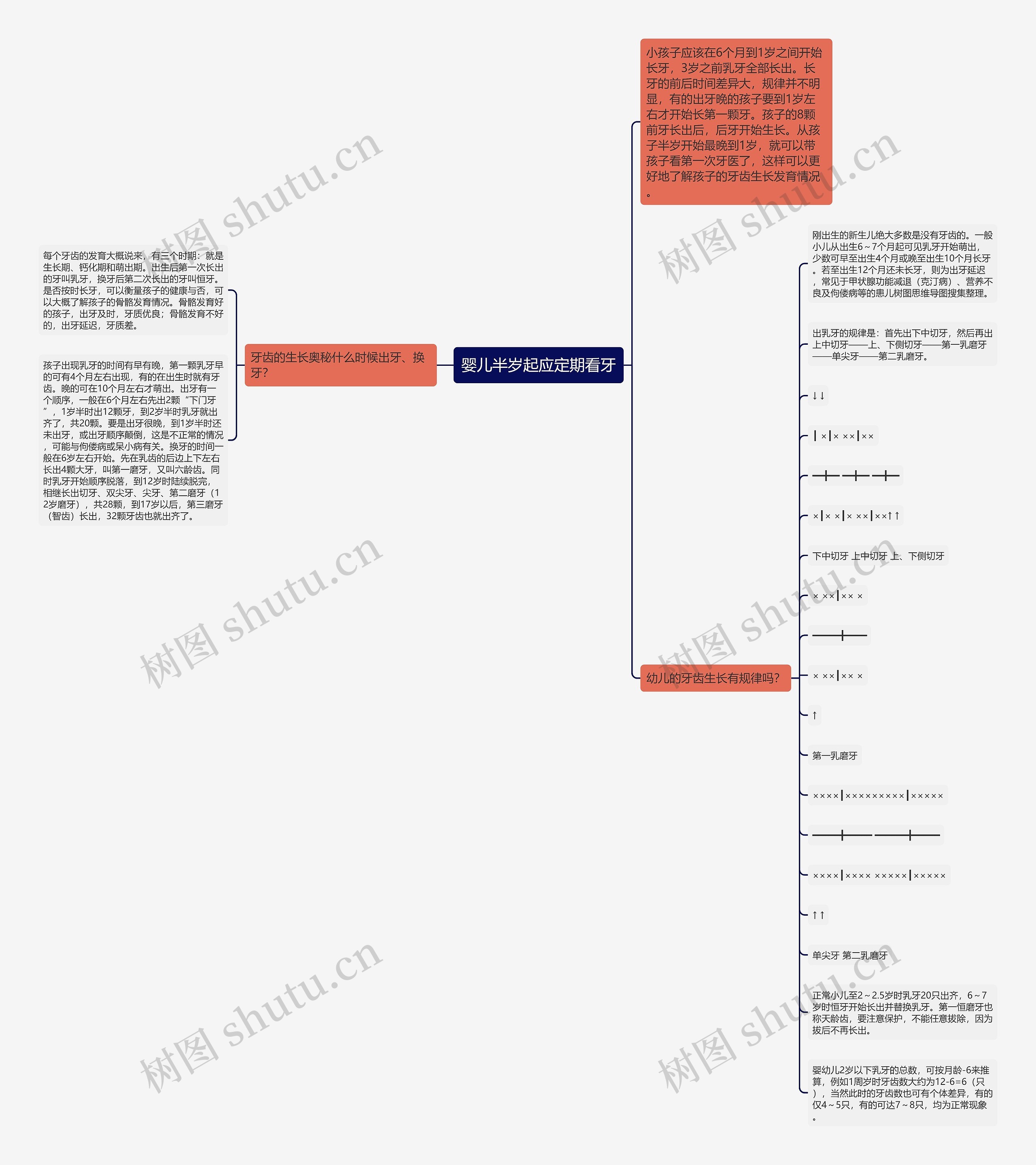 婴儿半岁起应定期看牙思维导图