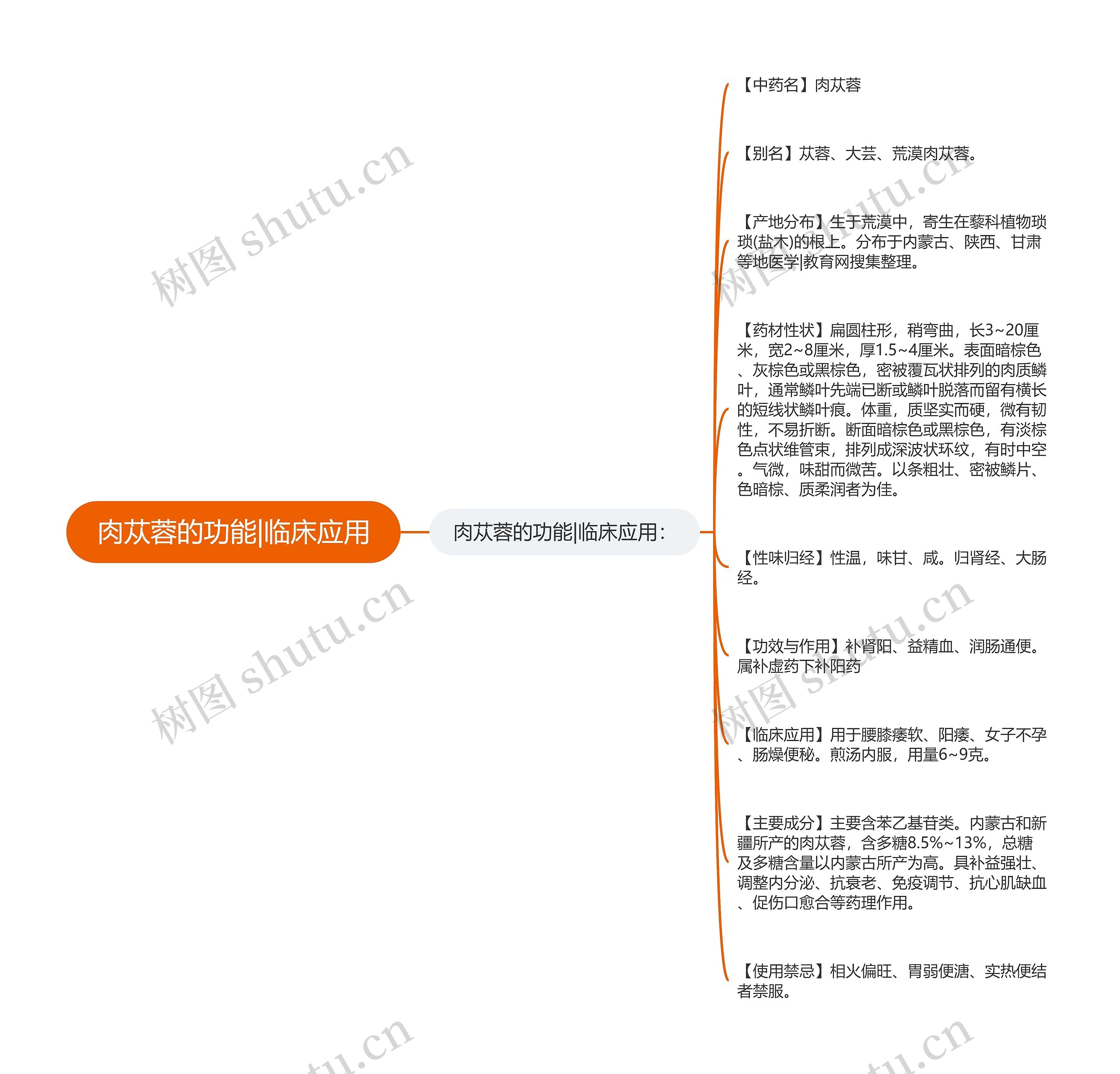 肉苁蓉的功能|临床应用思维导图