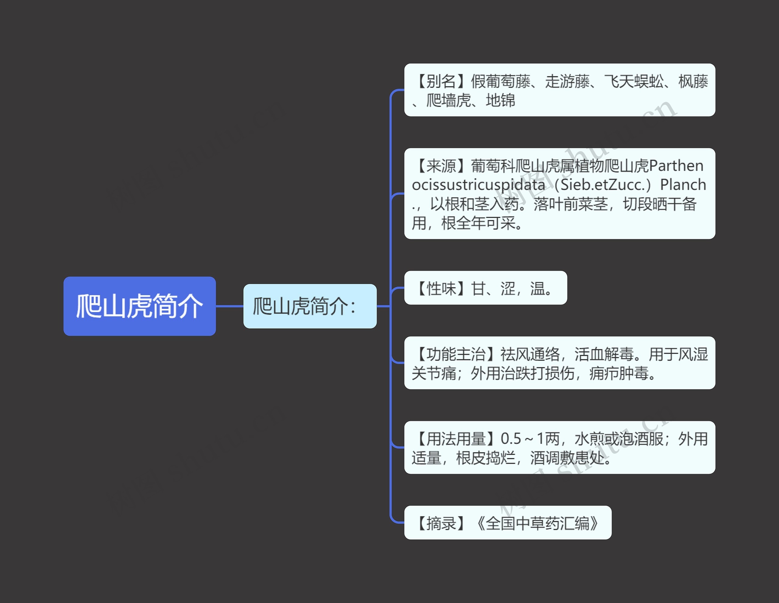 爬山虎简介思维导图