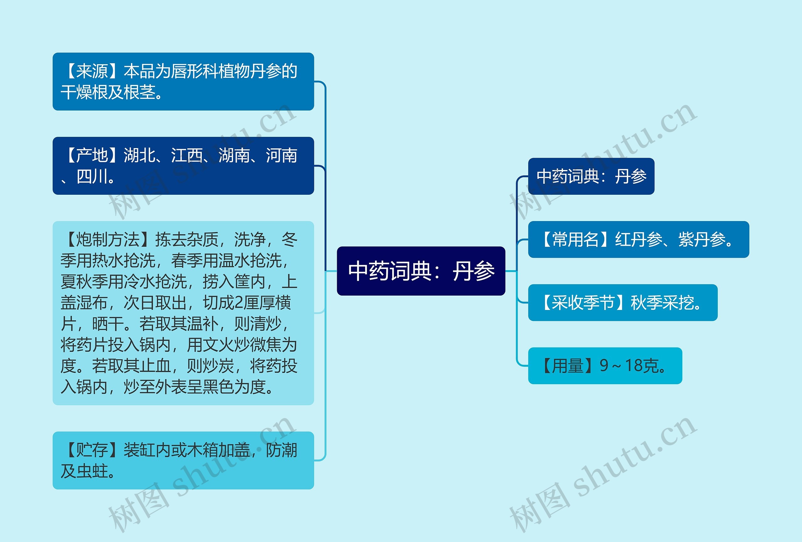 中药词典：丹参思维导图