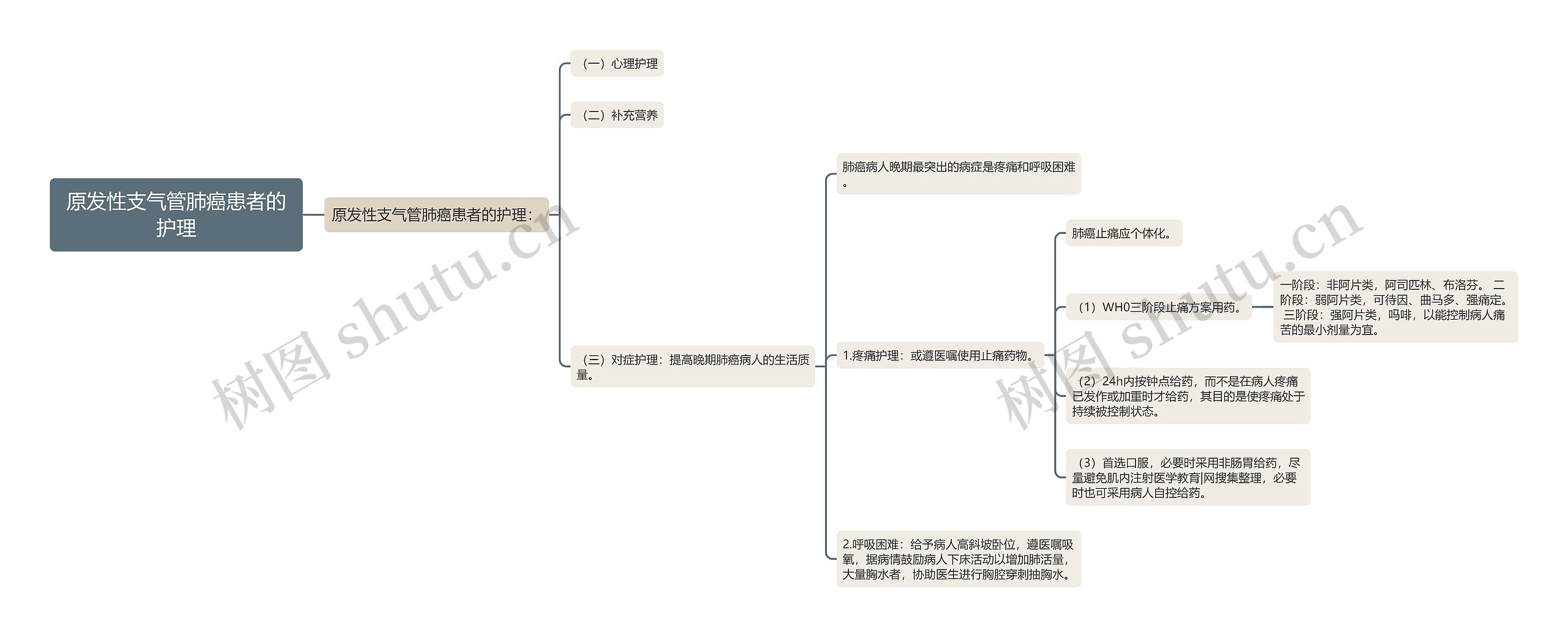 原发性支气管肺癌患者的护理