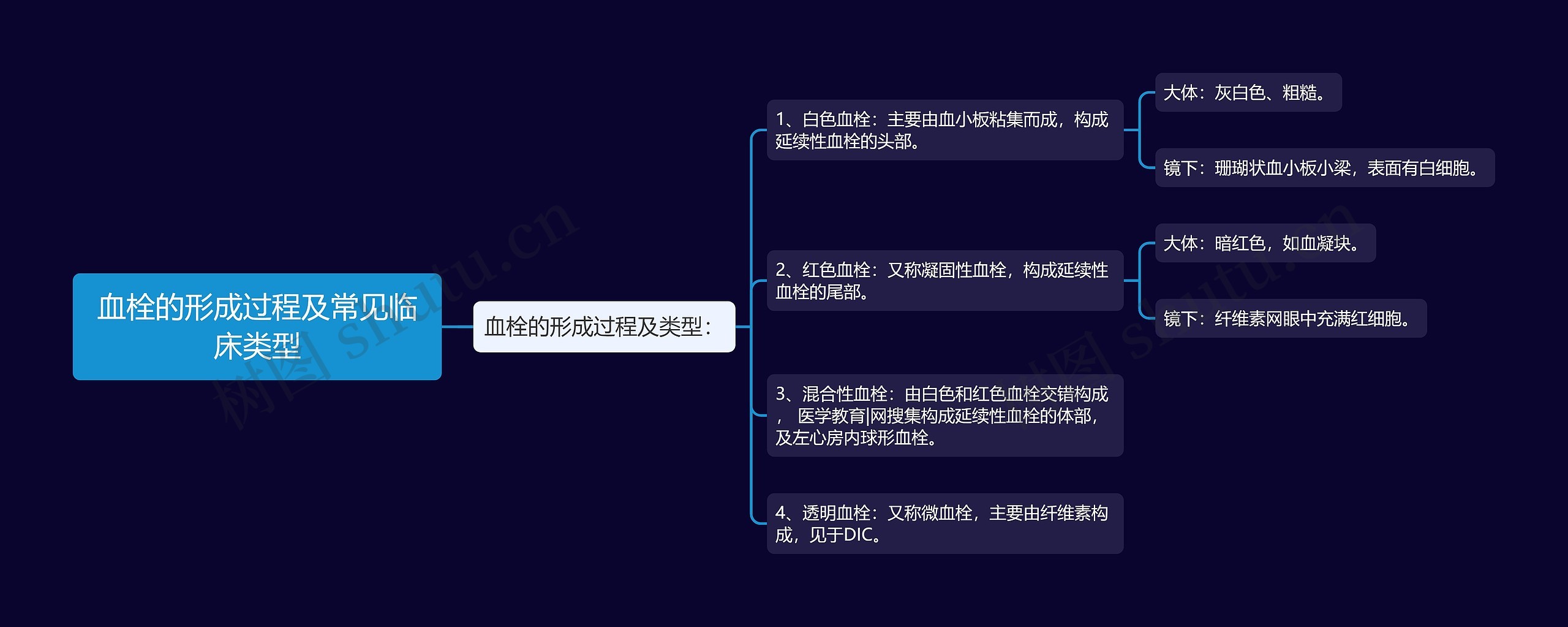 血栓的形成过程及常见临床类型 血栓的形成过程及常见临床类型