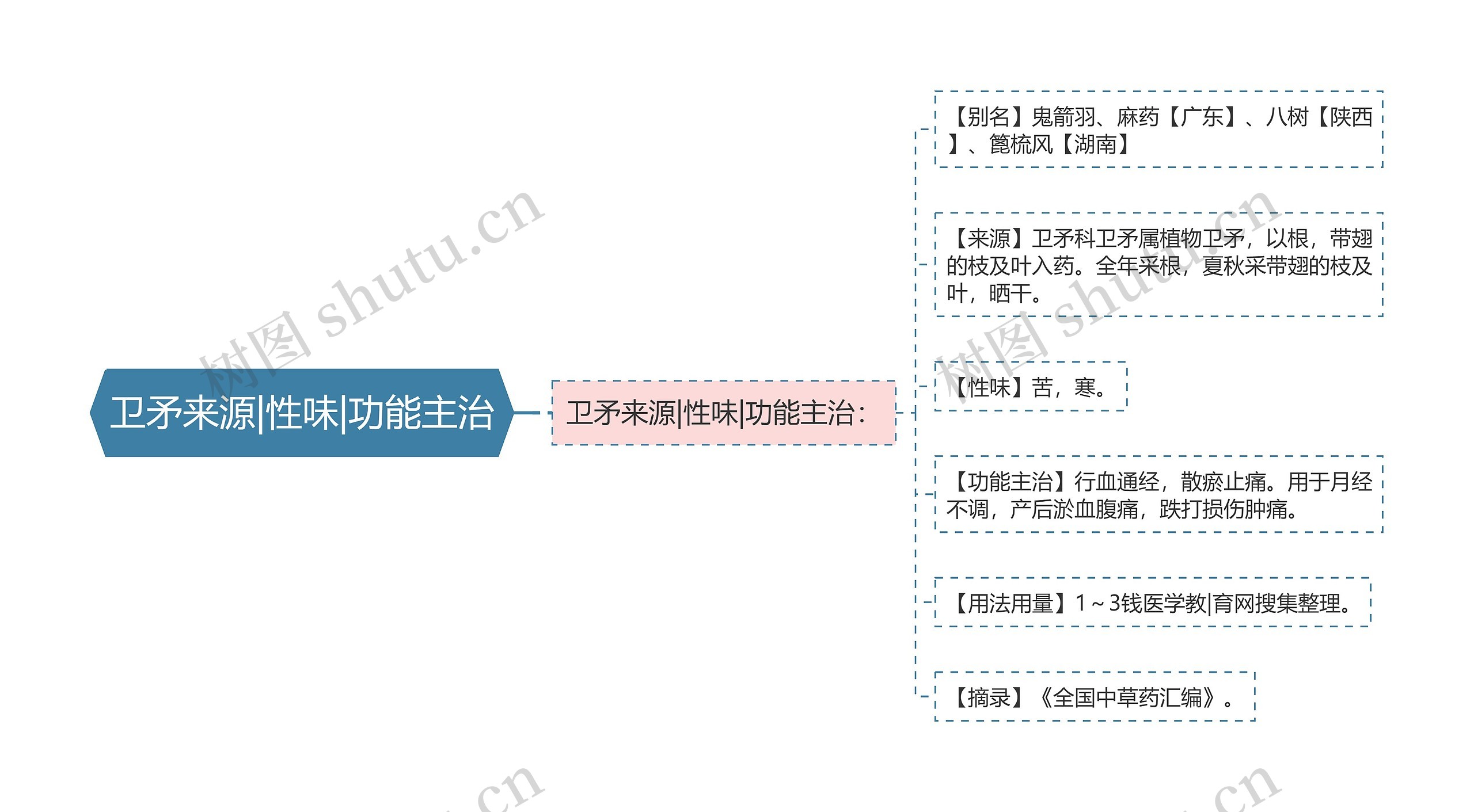 卫矛来源|性味|功能主治