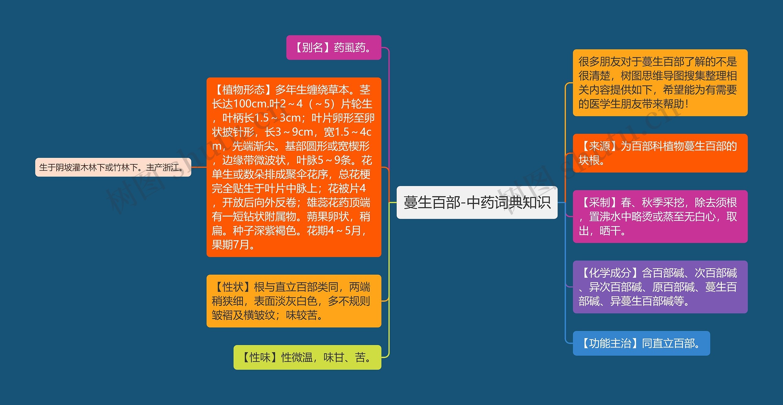 蔓生百部-中药词典知识思维导图