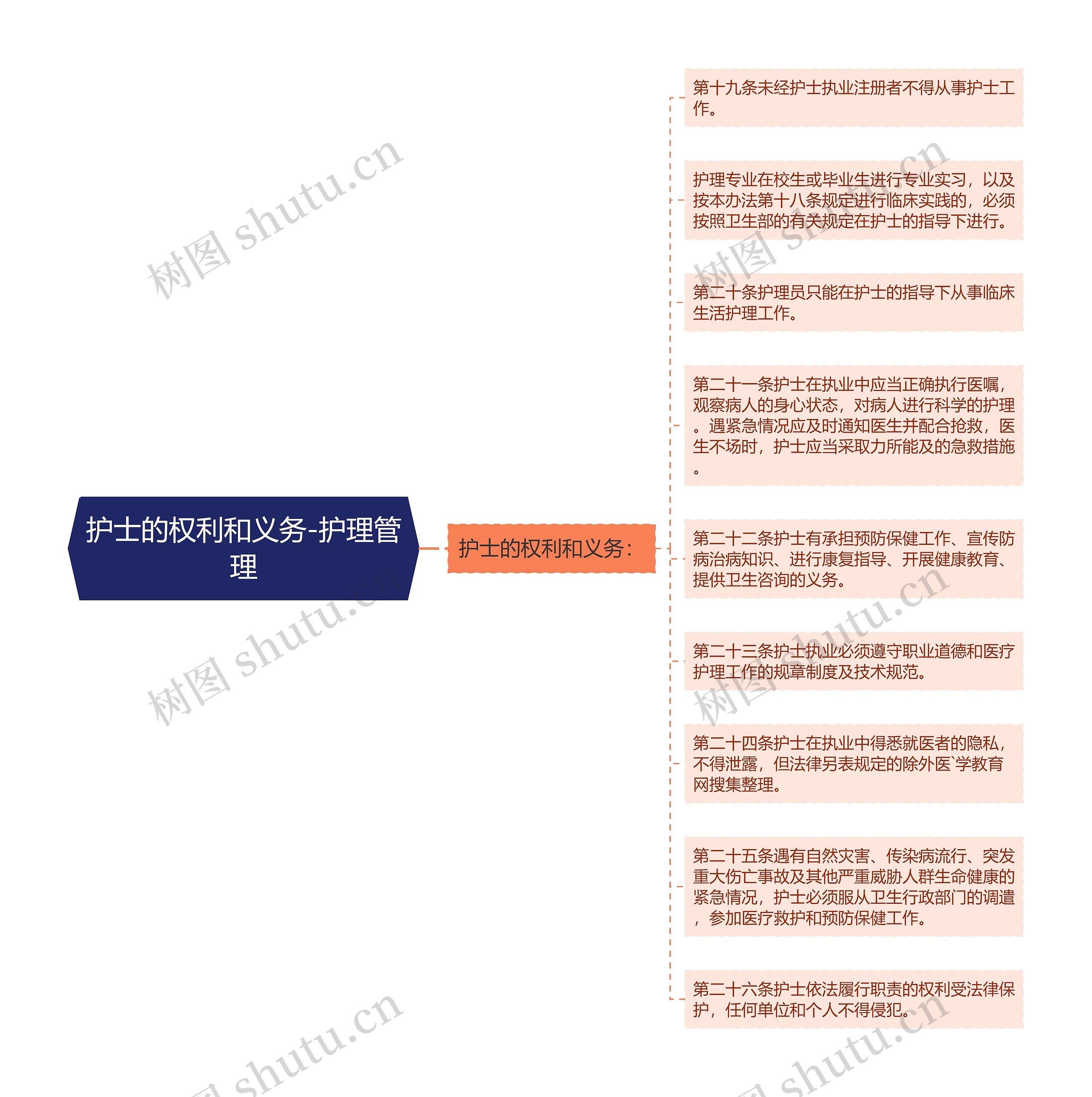 护士的权利和义务-护理管理