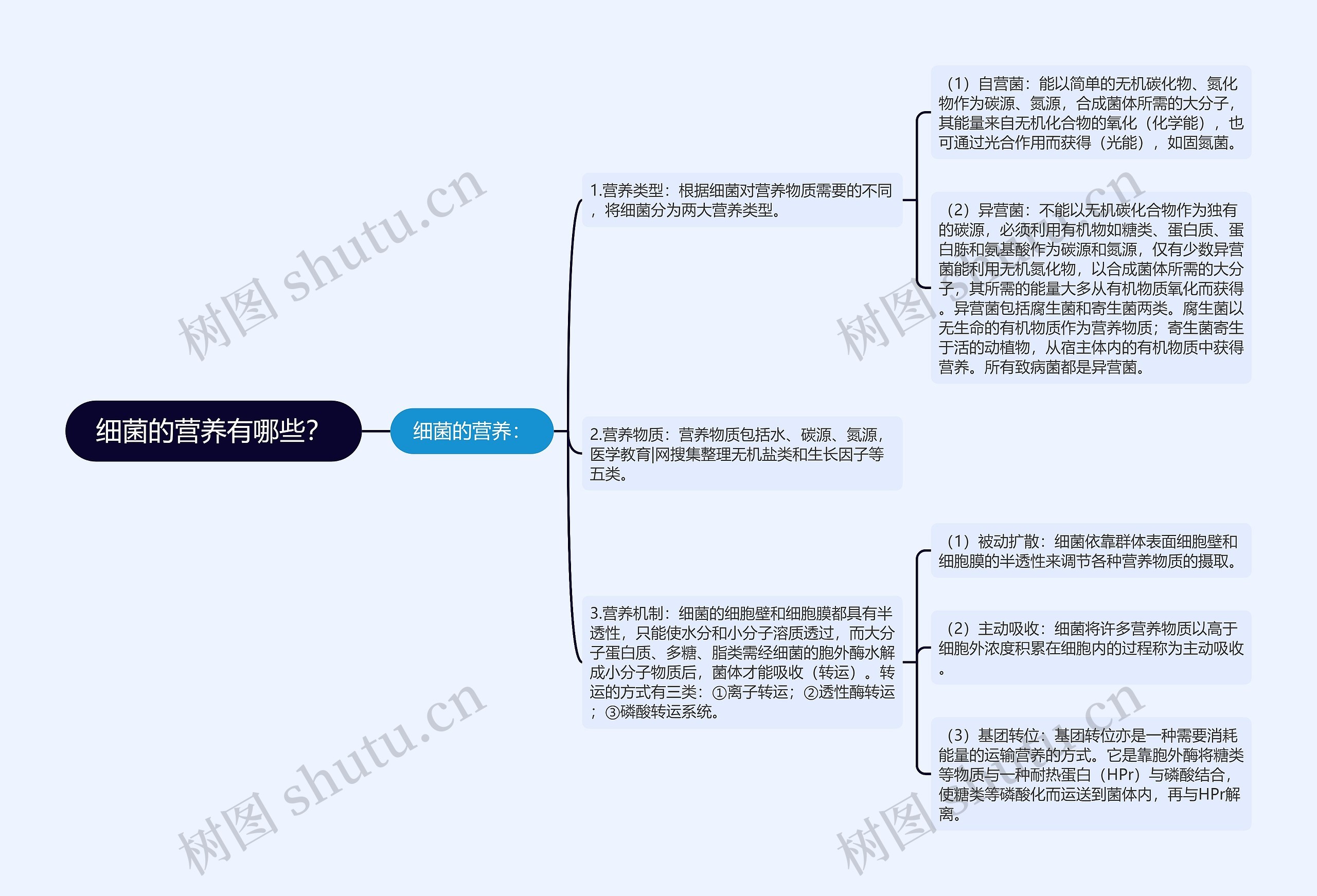 细菌的营养有哪些？思维导图