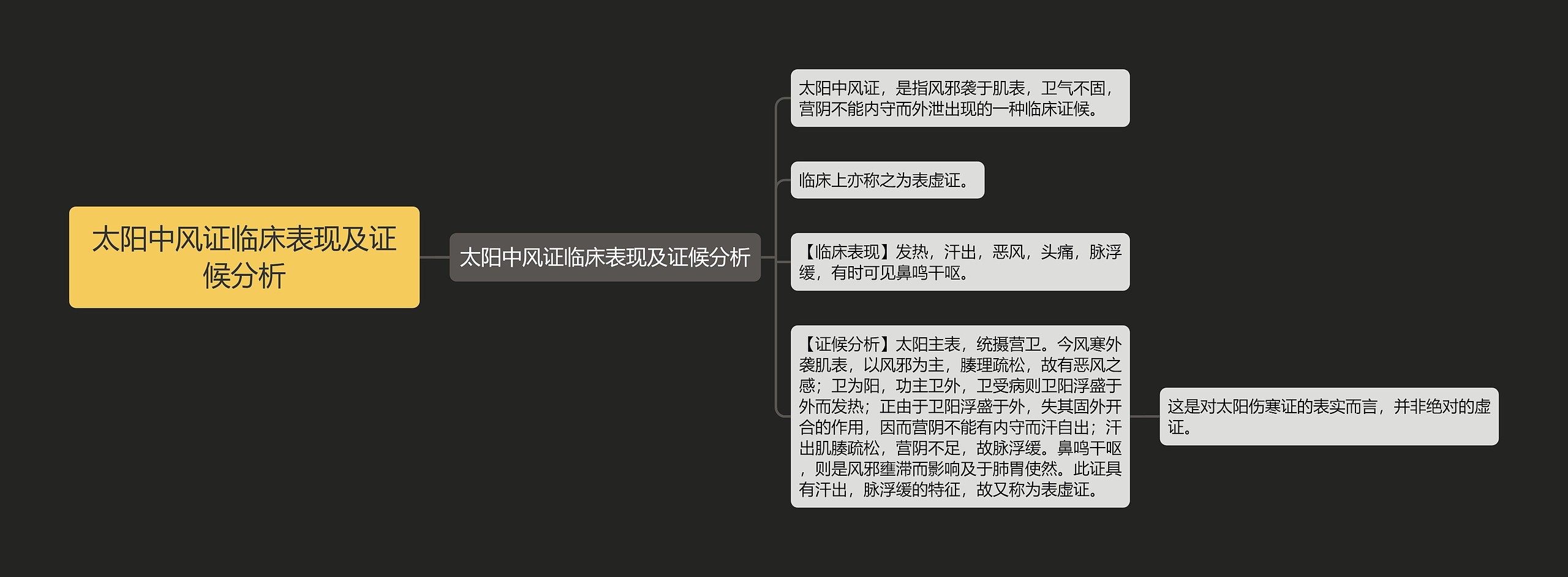 太阳中风证临床表现及证候分析思维导图