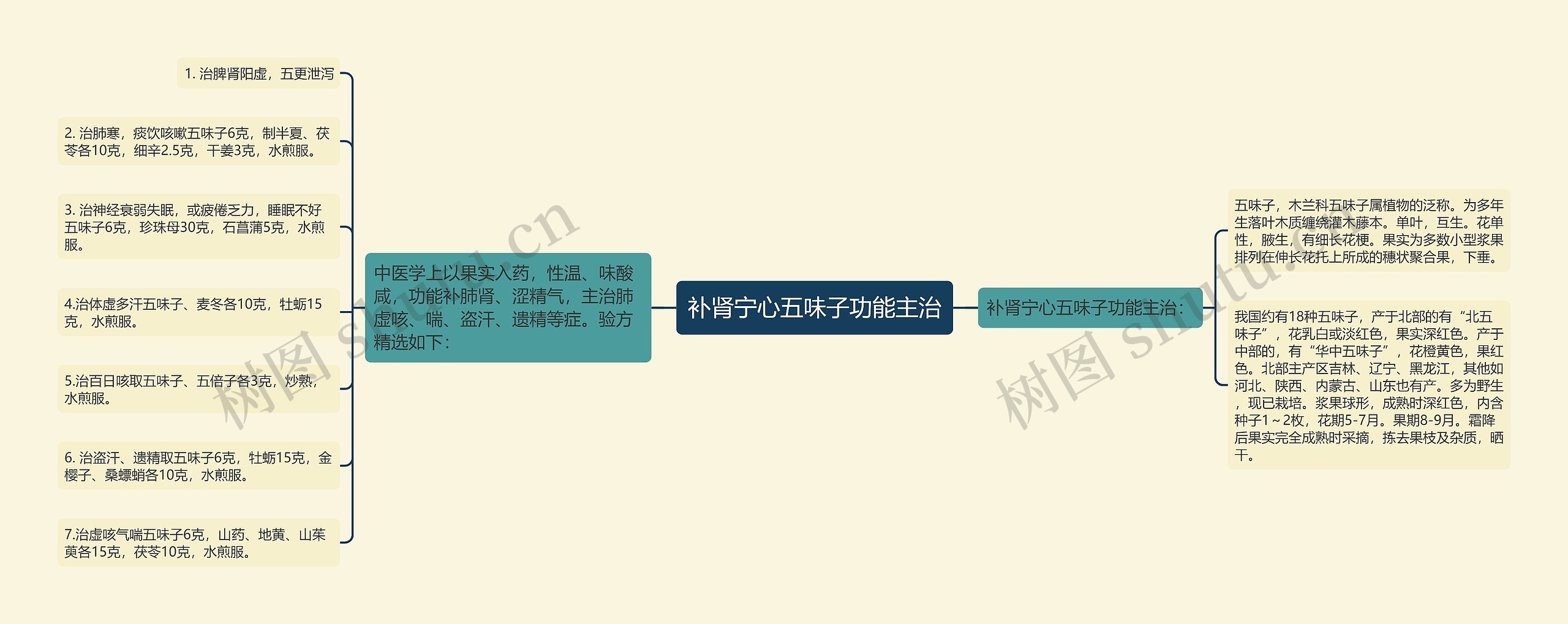 补肾宁心五味子功能主治 补肾宁心五味子功能主治