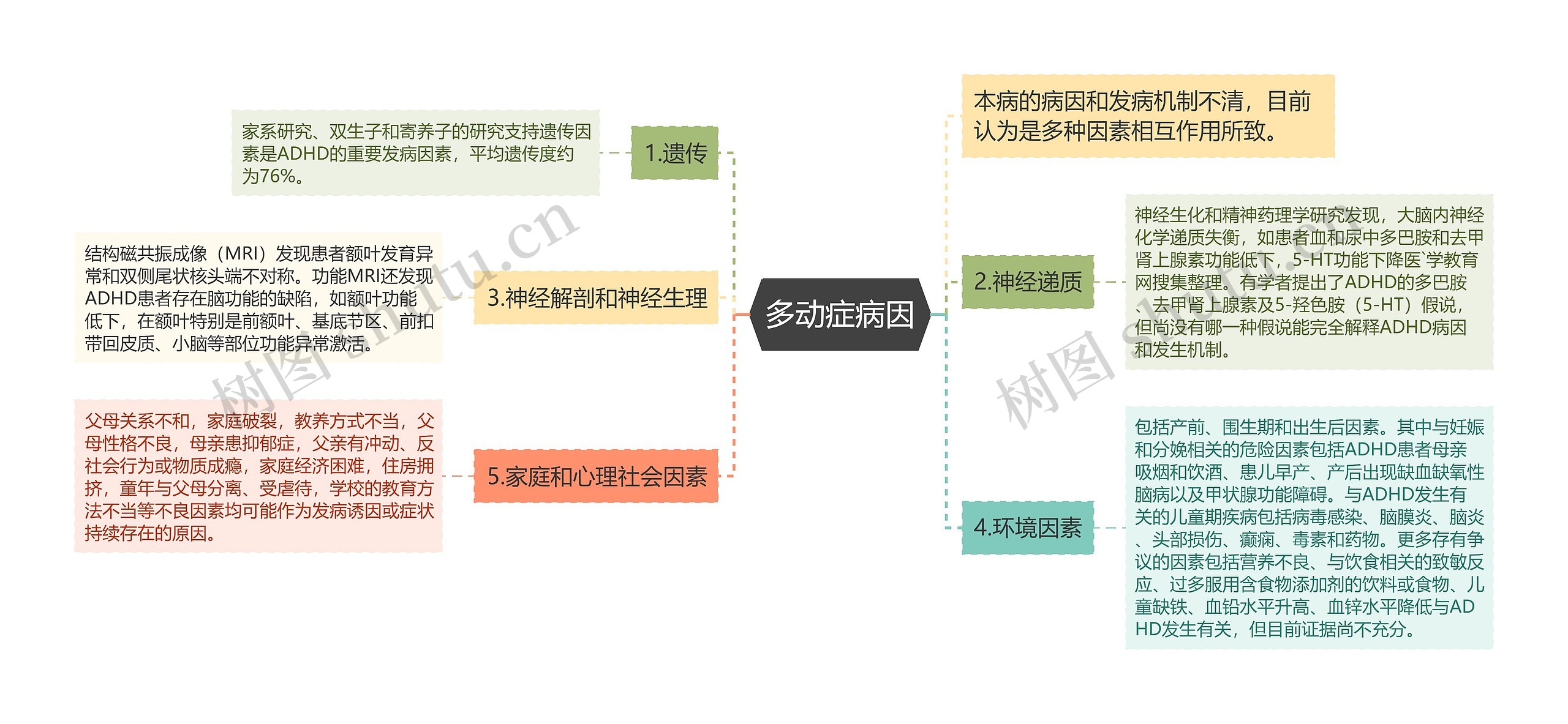 多动症病因思维导图