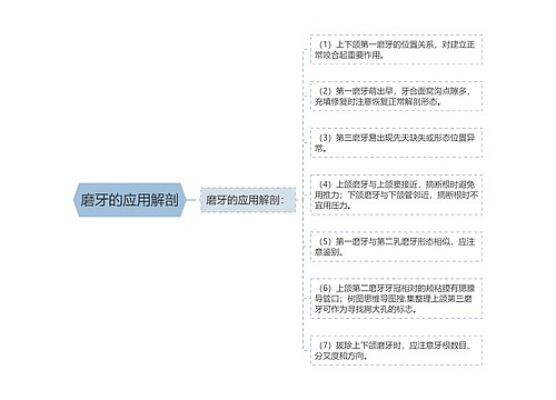 磨牙的应用解剖