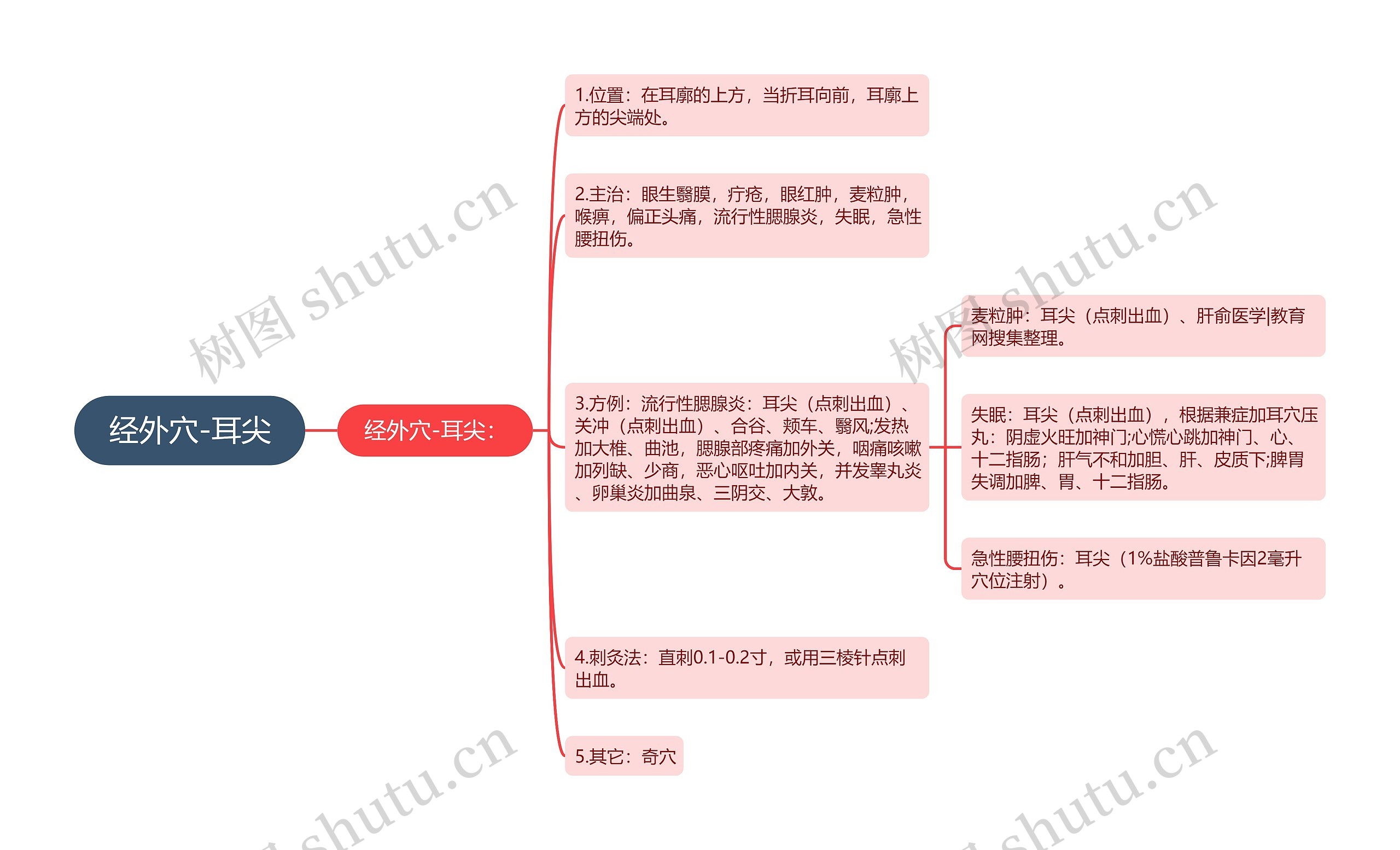 经外穴-耳尖思维导图