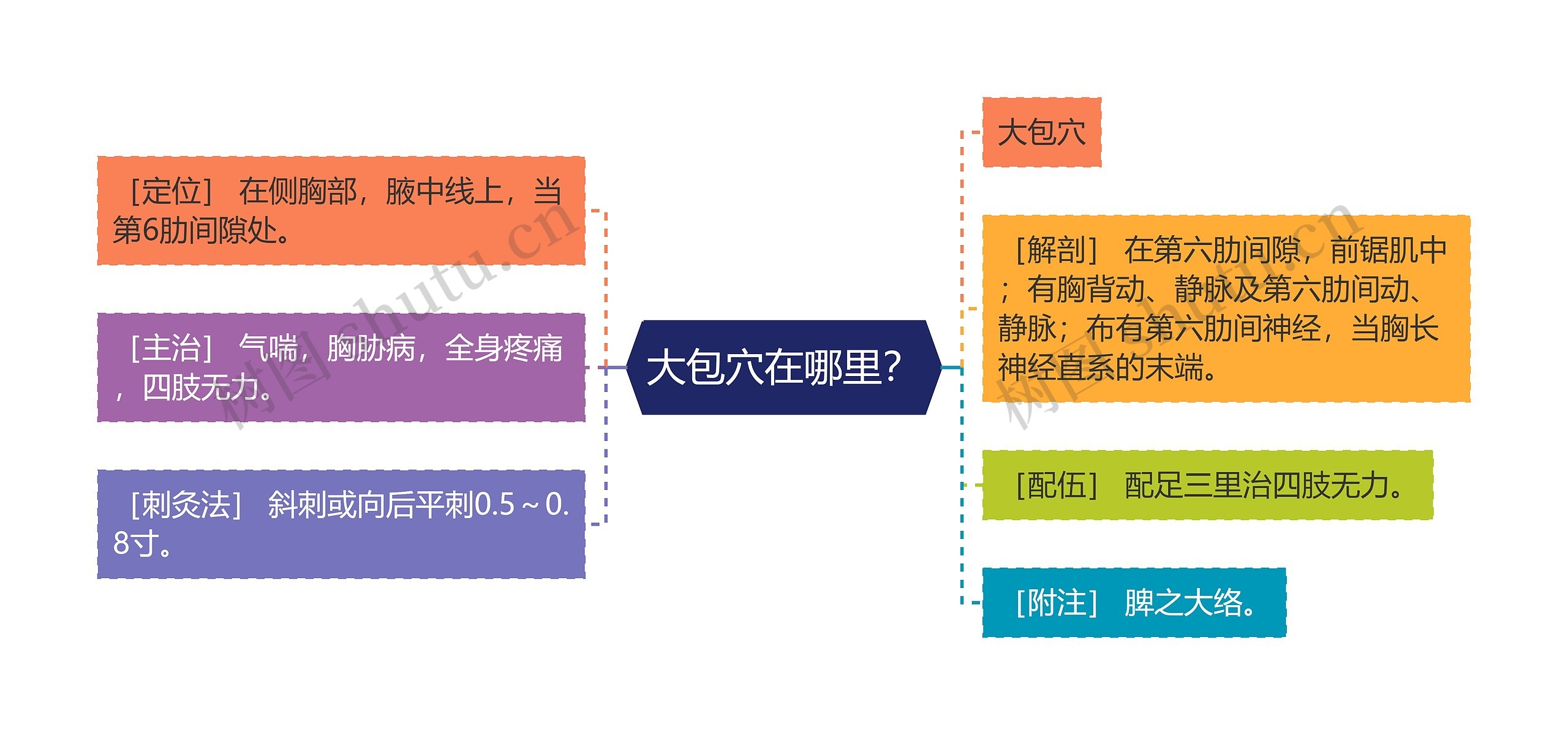 大包穴在哪里？思维导图