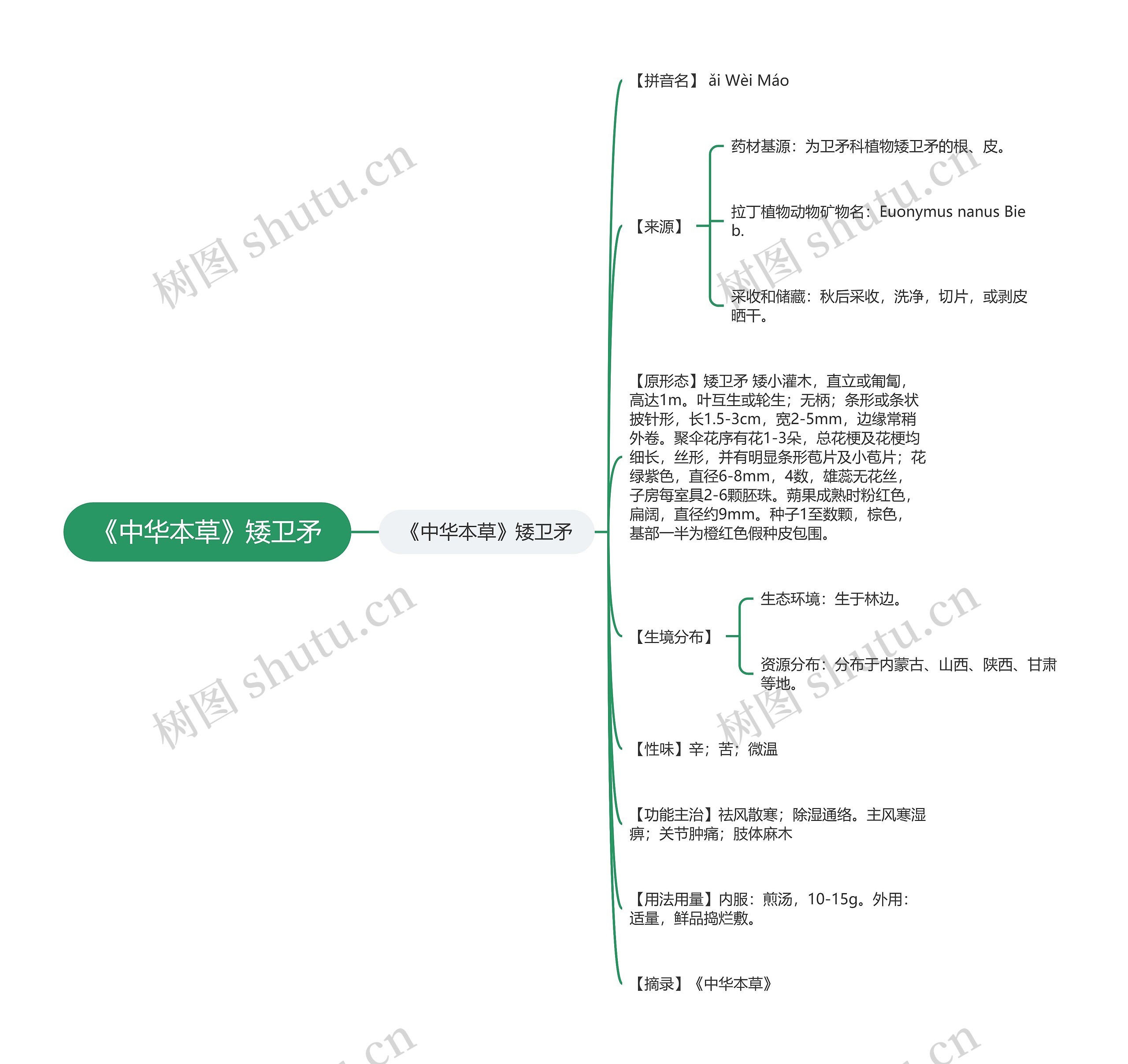 《中华本草》矮卫矛