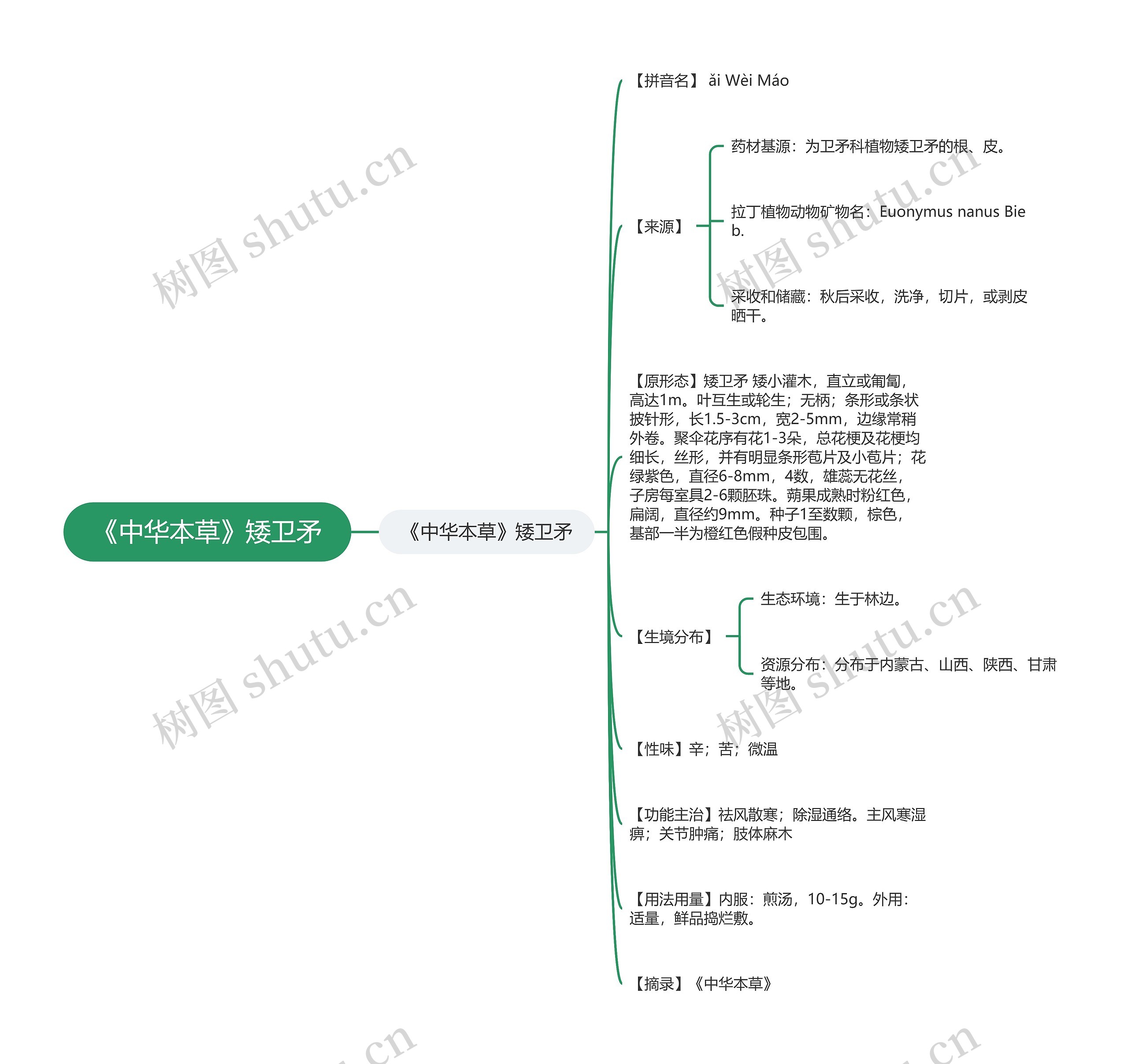 《中华本草》矮卫矛思维导图