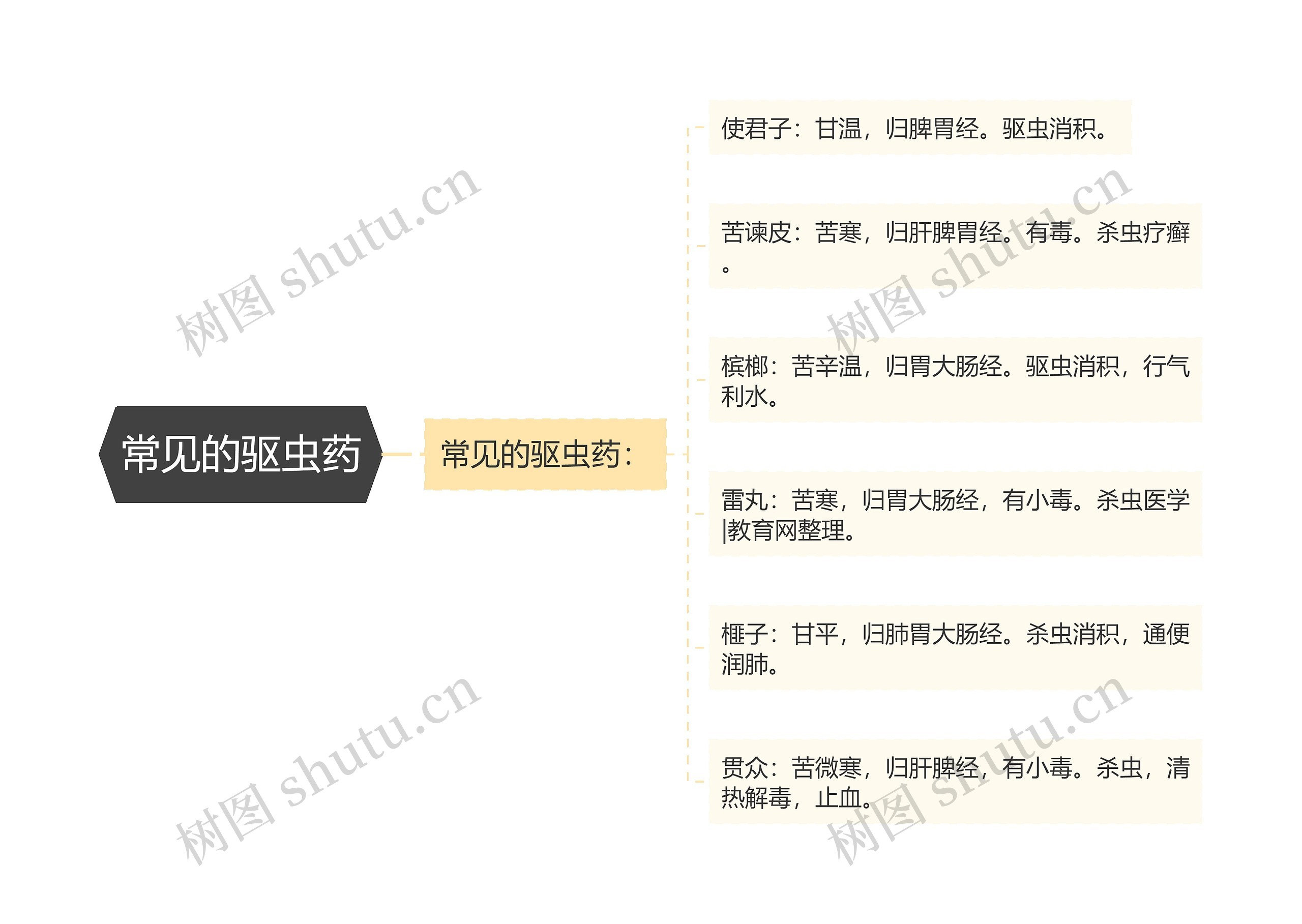 常见的驱虫药 常见的驱虫药