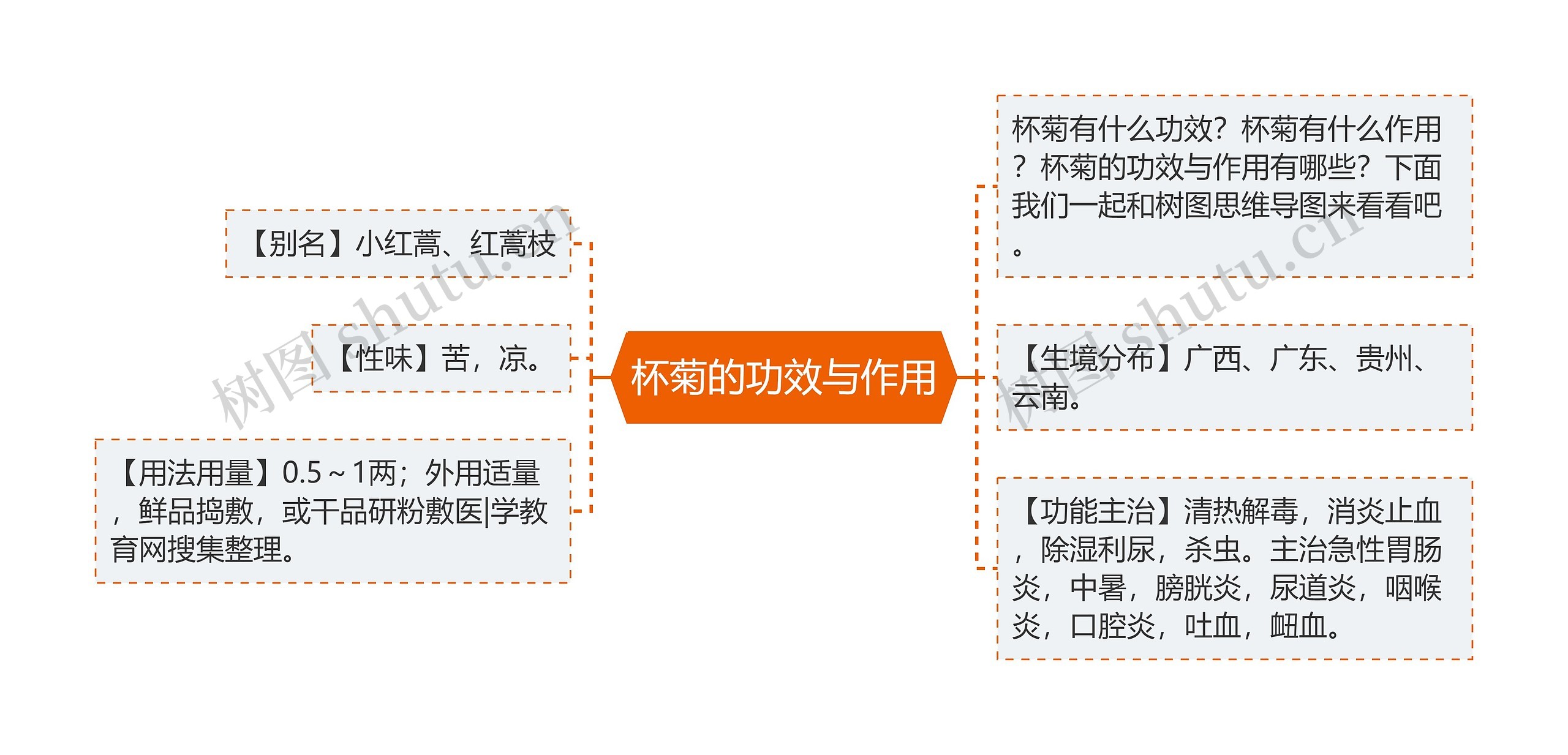 杯菊的功效与作用思维导图