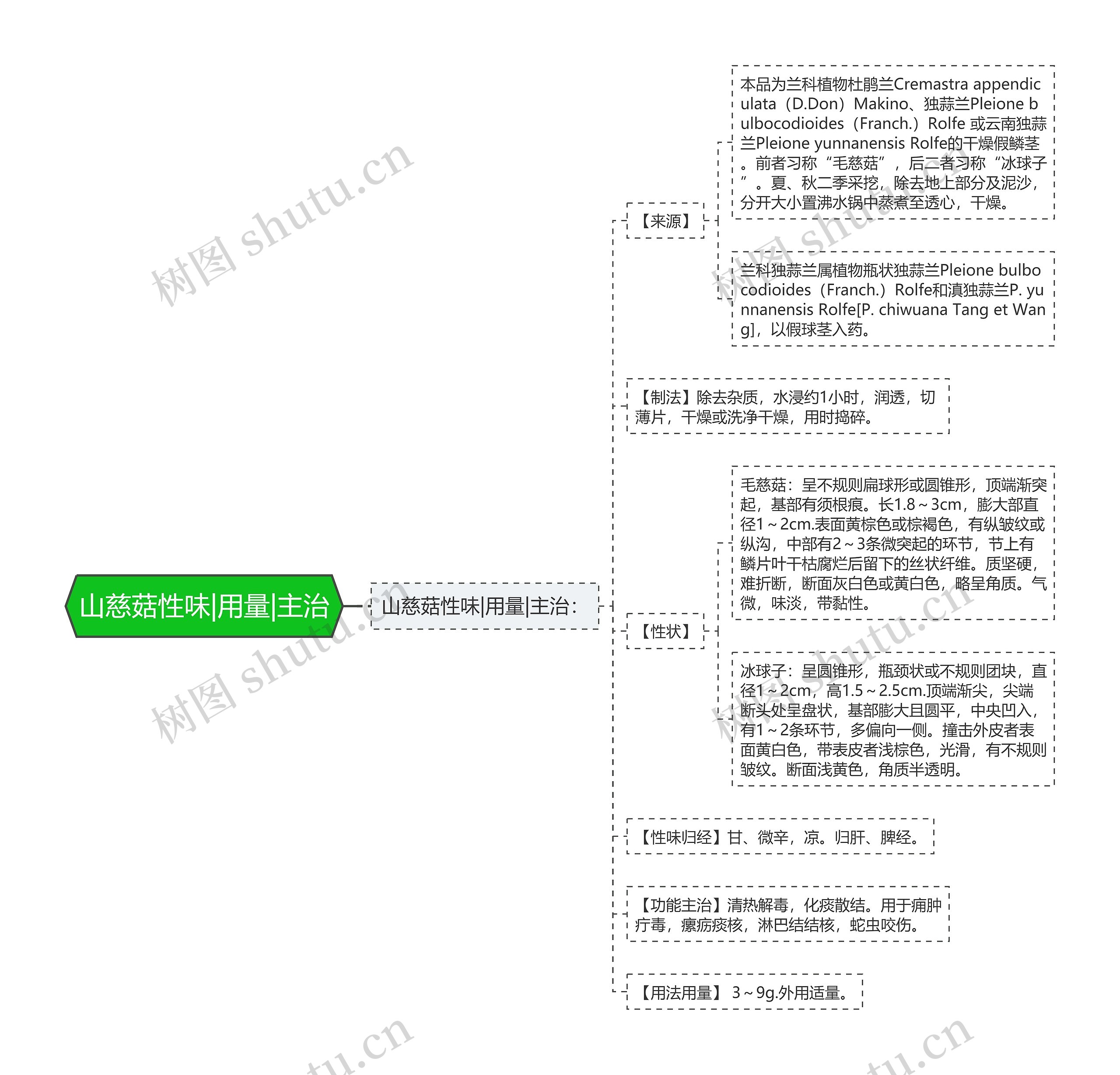 山慈菇性味|用量|主治思维导图