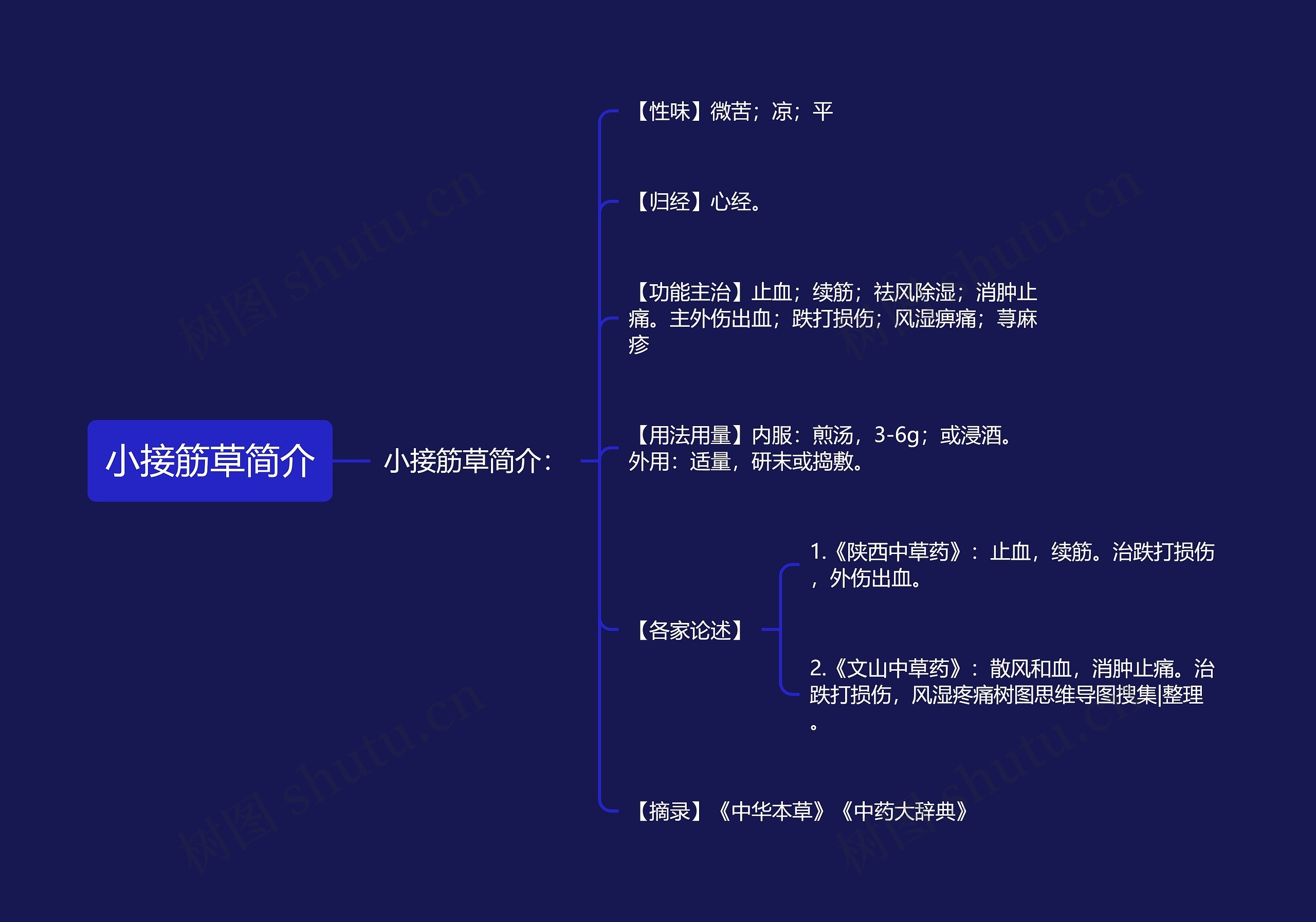 小接筋草简介思维导图