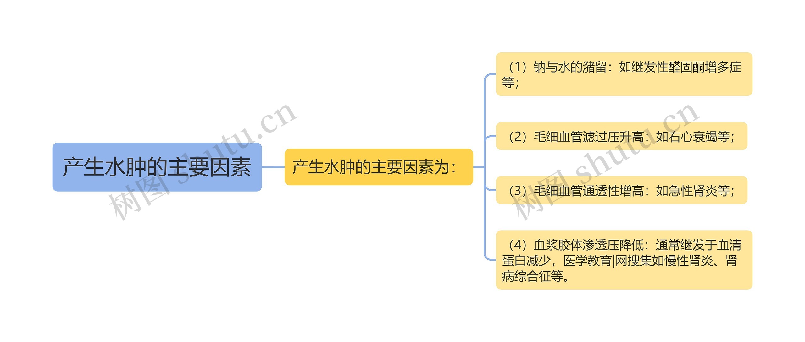 产生水肿的主要因素思维导图