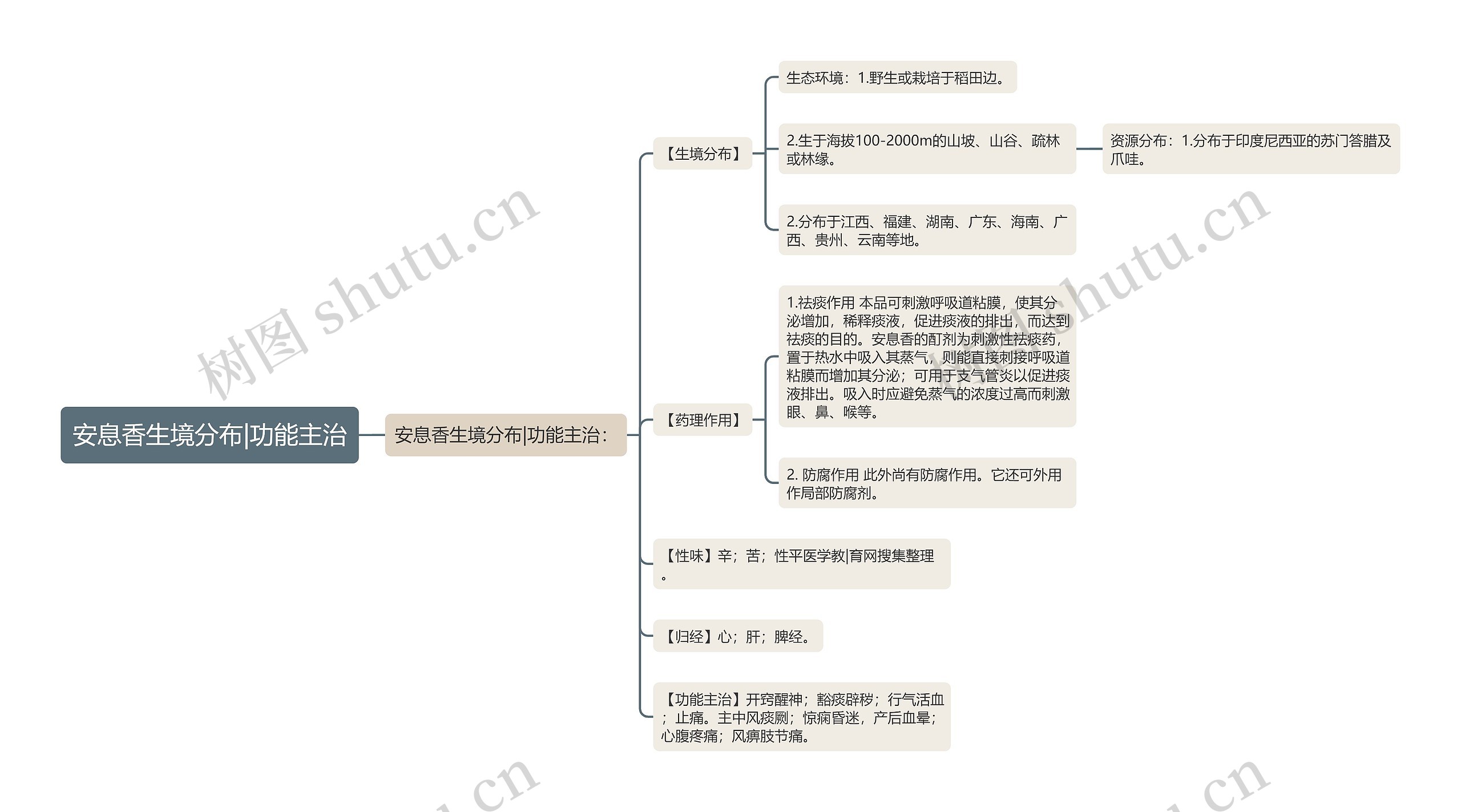 安息香生境分布|功能主治思维导图