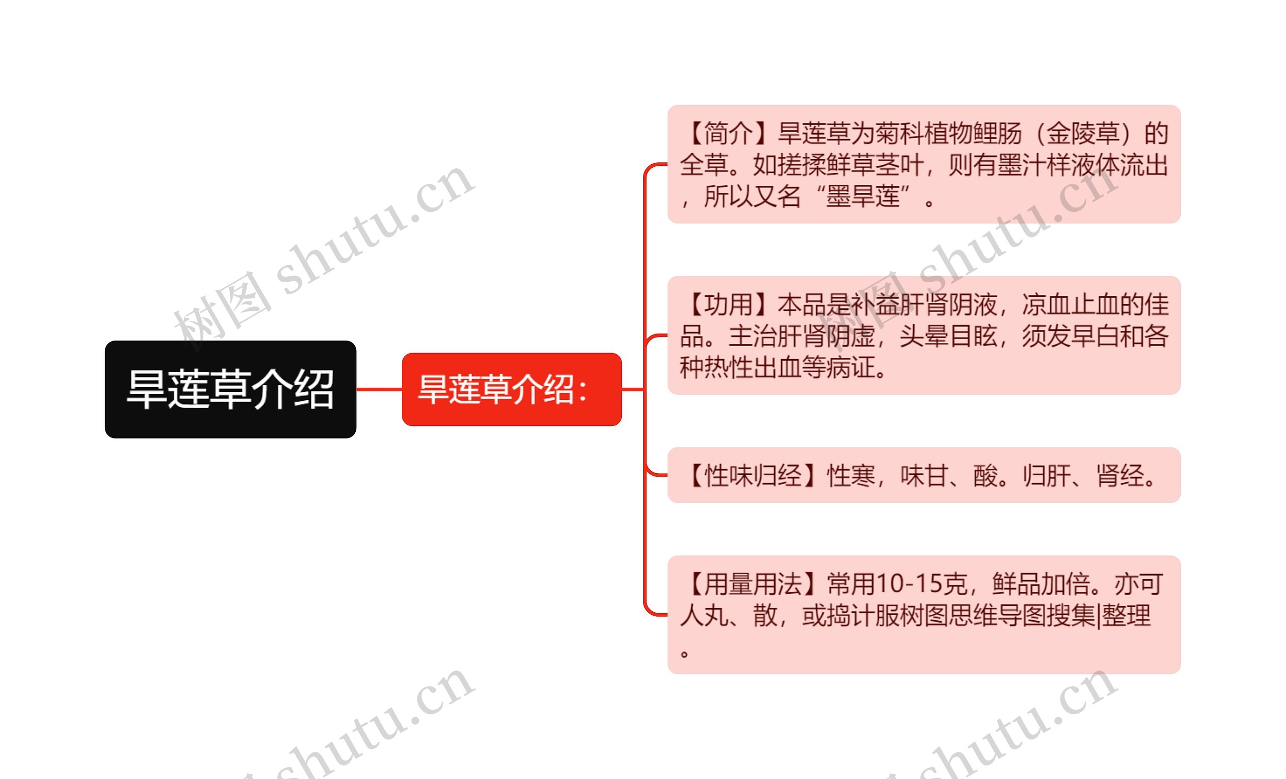 旱莲草介绍思维导图