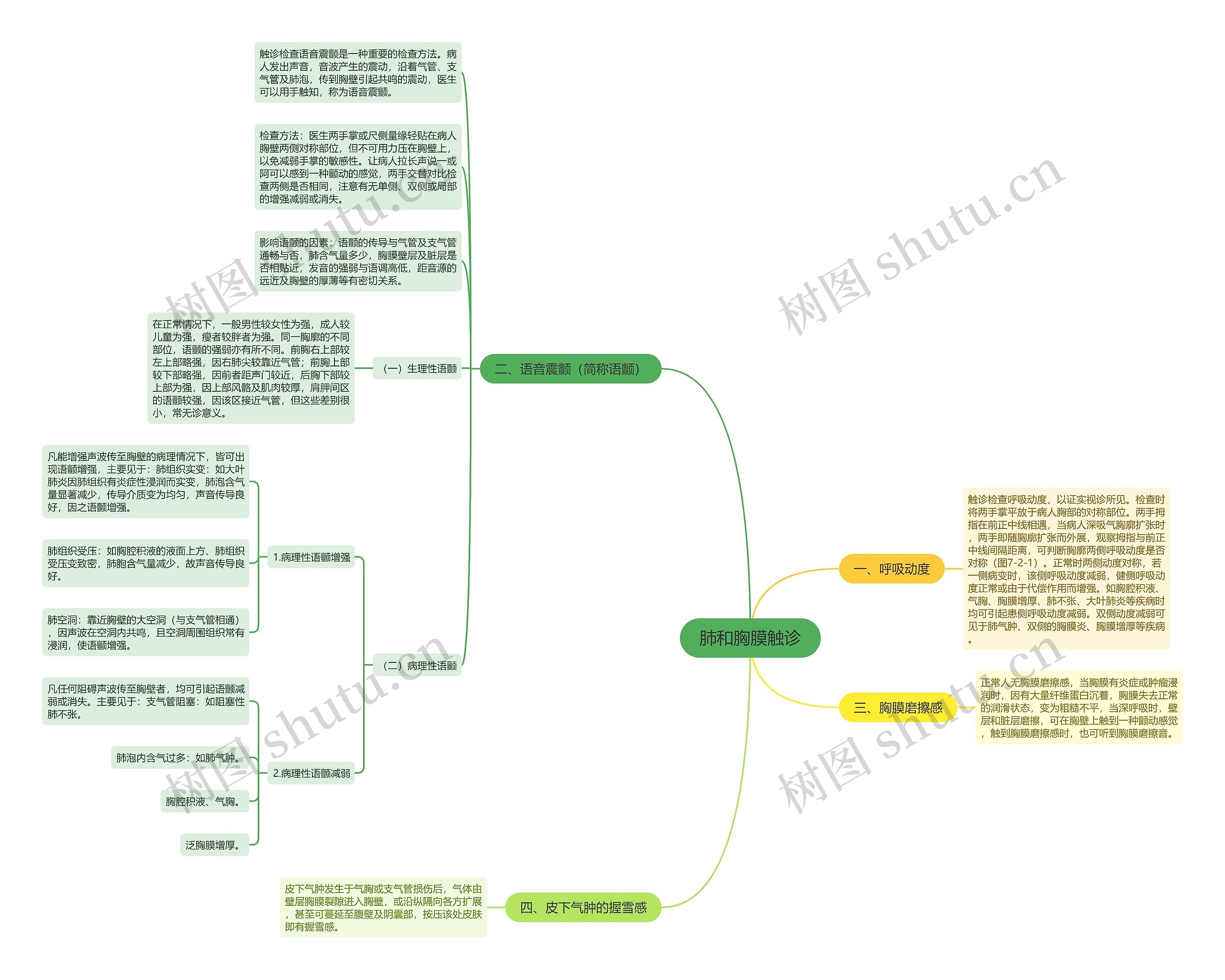 肺和胸膜触诊思维导图