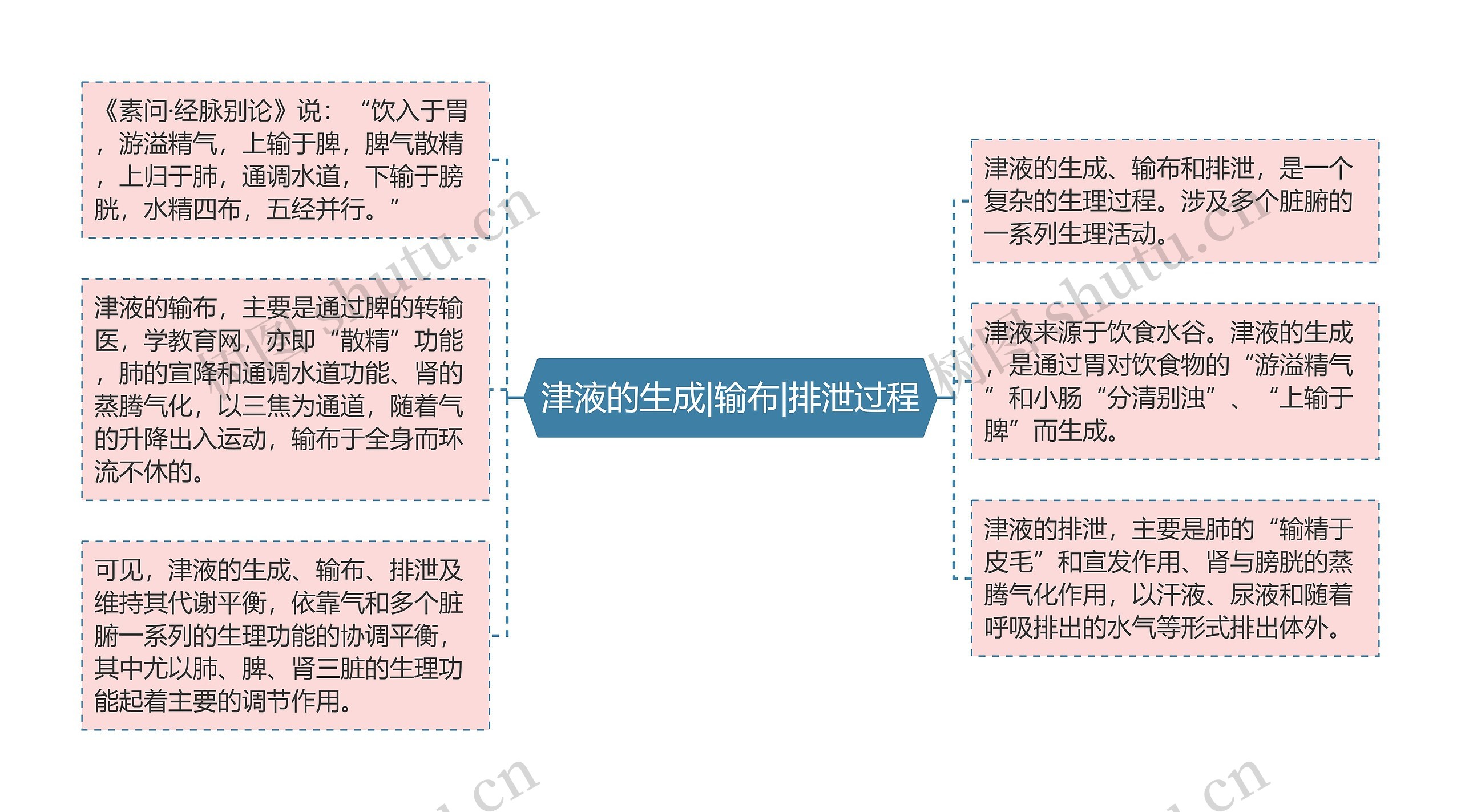 津液的生成|输布|排泄过程思维导图