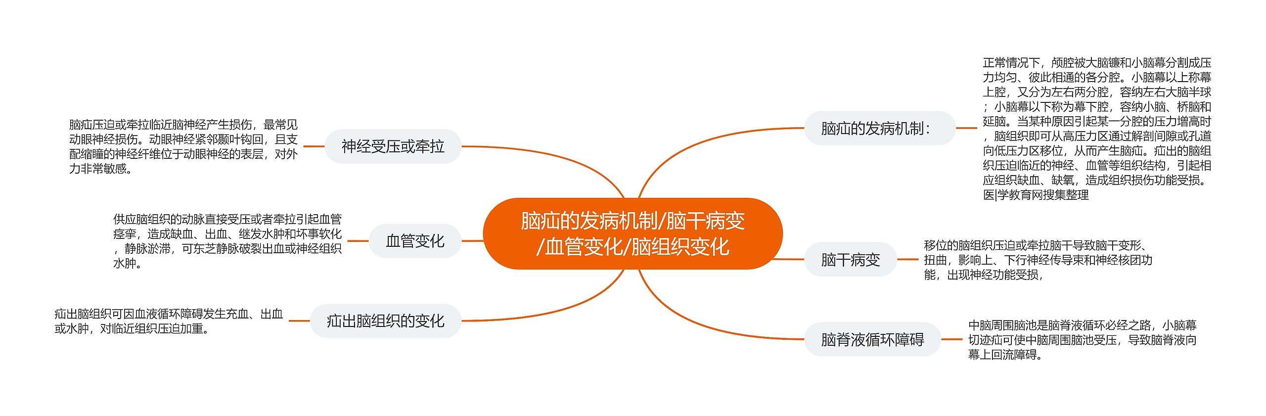 脑疝的发病机制/脑干病变/血管变化/脑组织变化 脑疝的发病机制/脑干病变/血管变化/脑组织变化