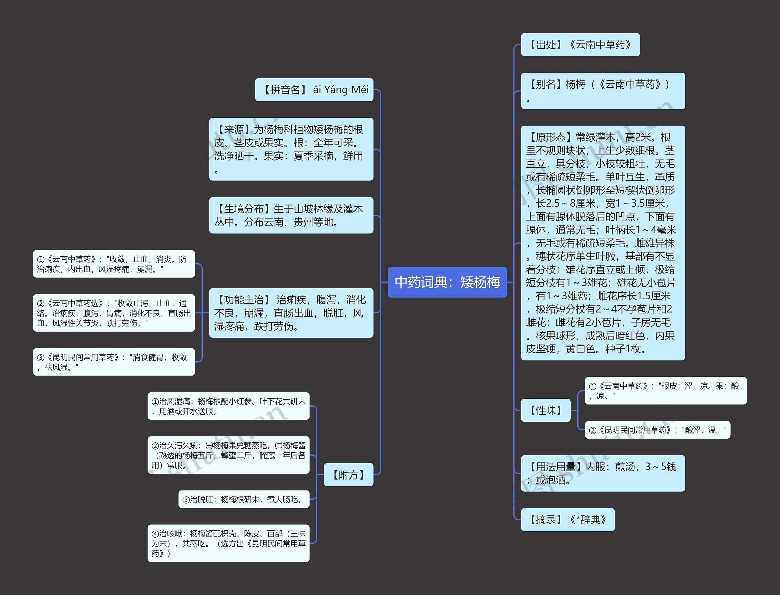 中药词典：矮杨梅思维导图