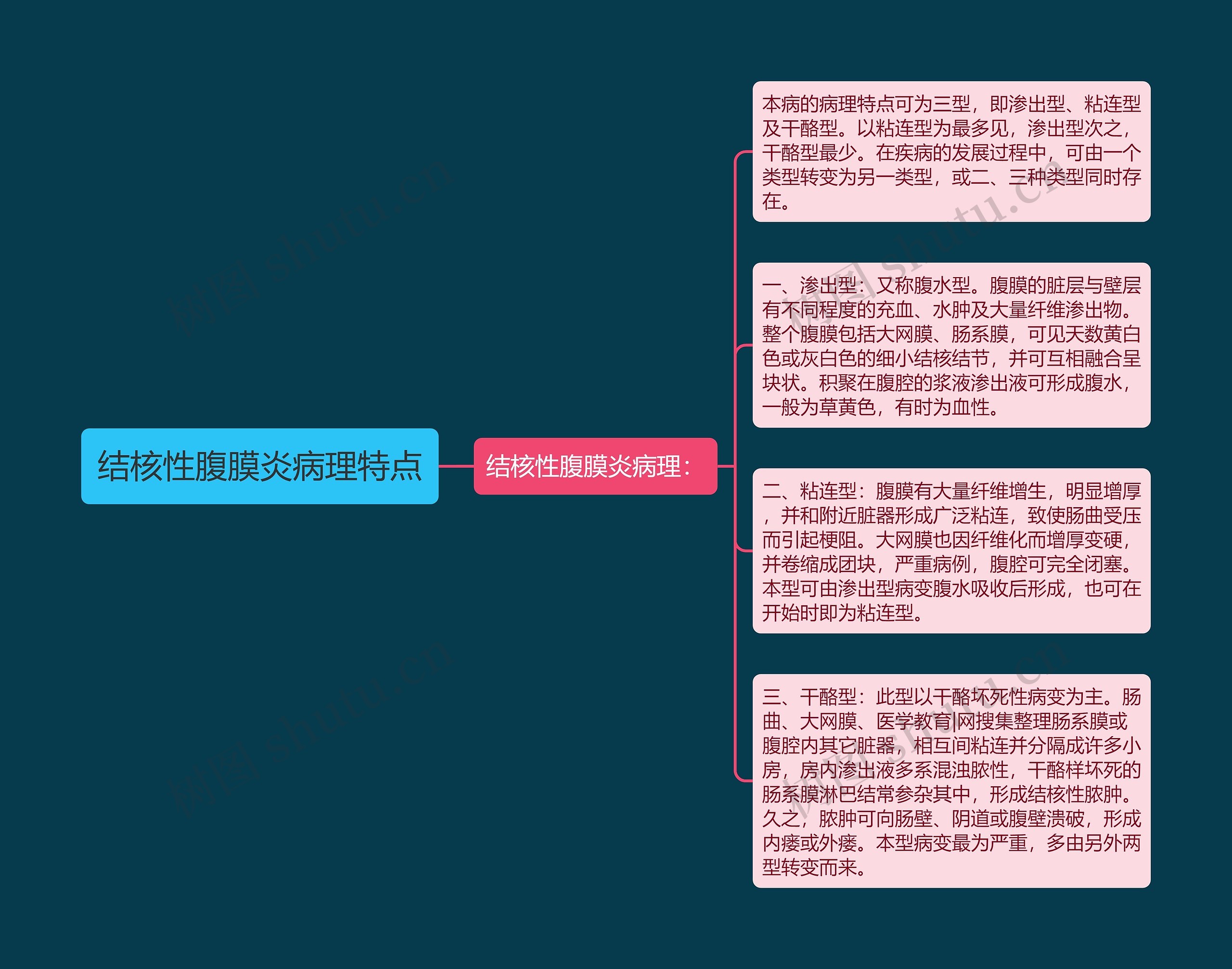 结核性腹膜炎病理特点思维导图