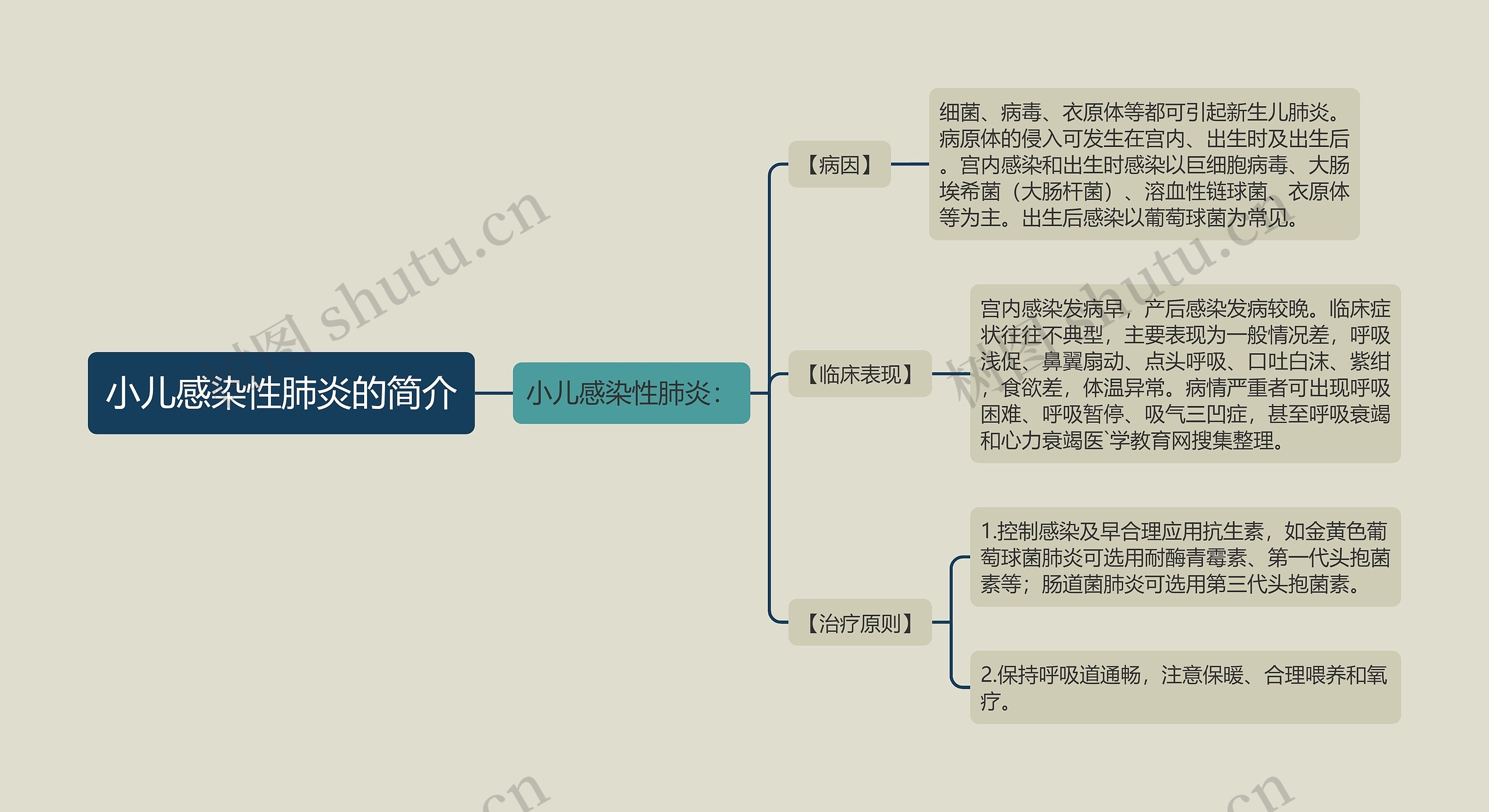 小儿感染性肺炎的简介思维导图