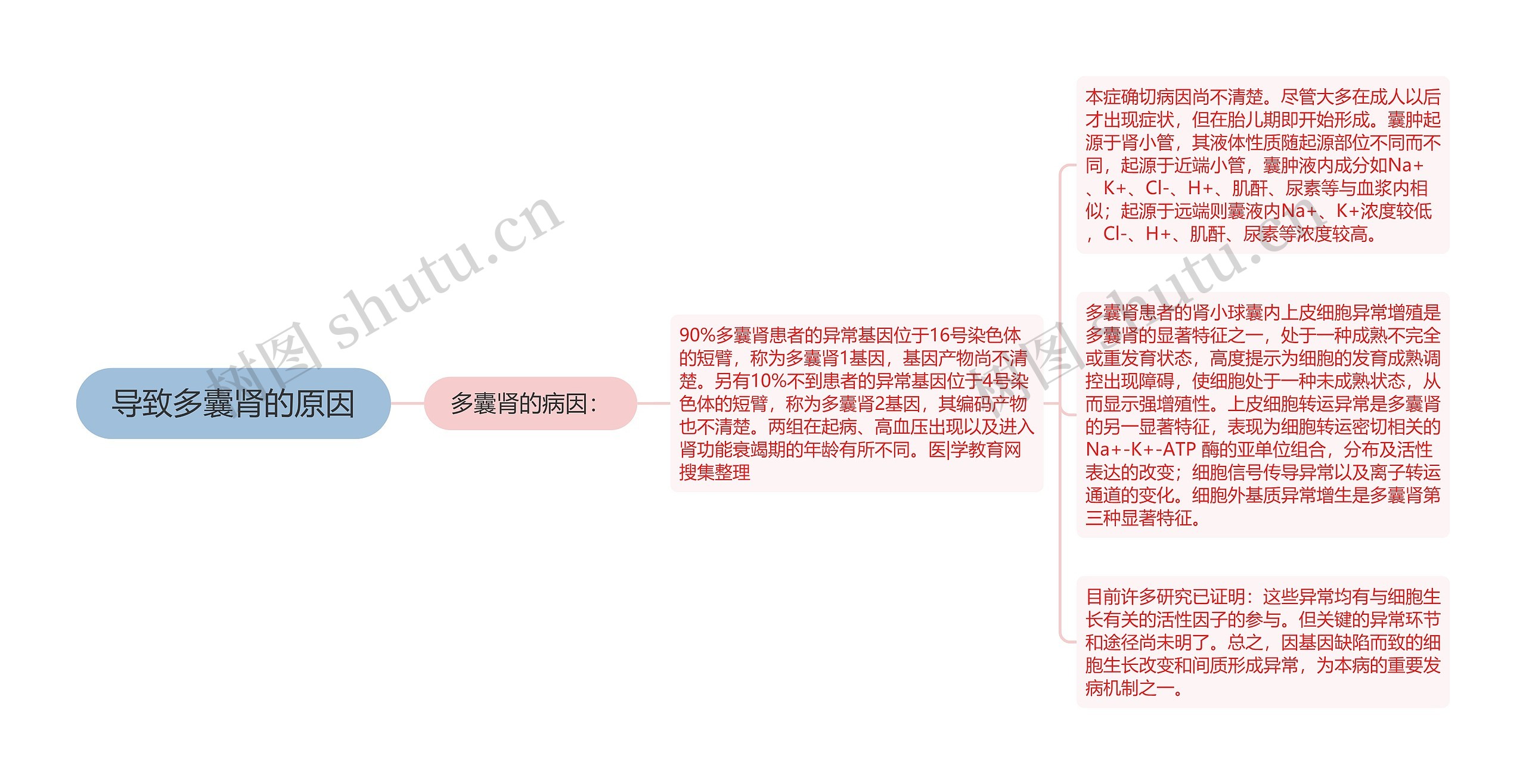 导致多囊肾的原因