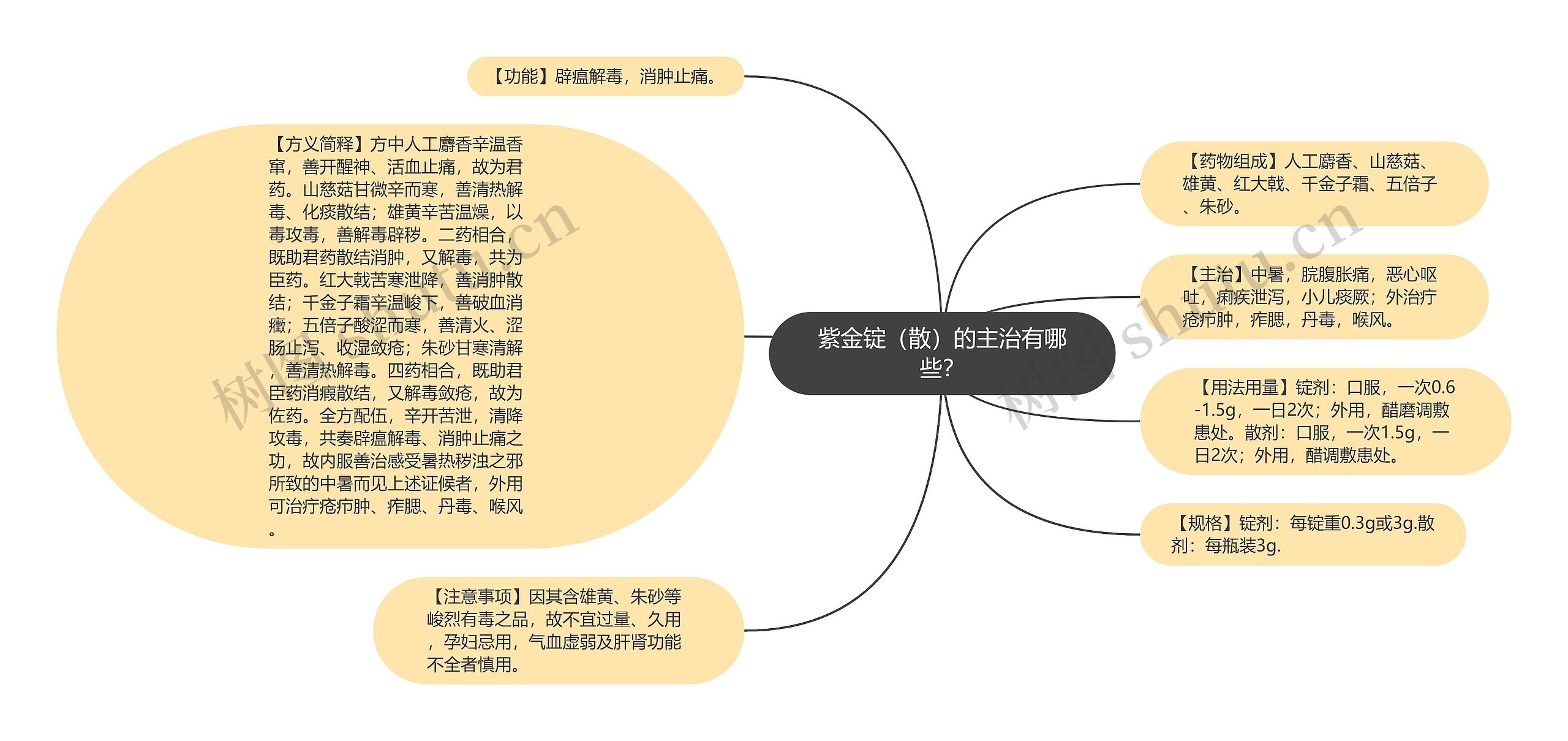 紫金锭（散）的主治有哪些？