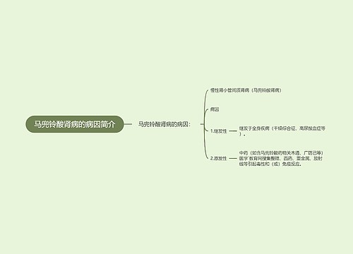 马兜铃酸肾病的病因简介