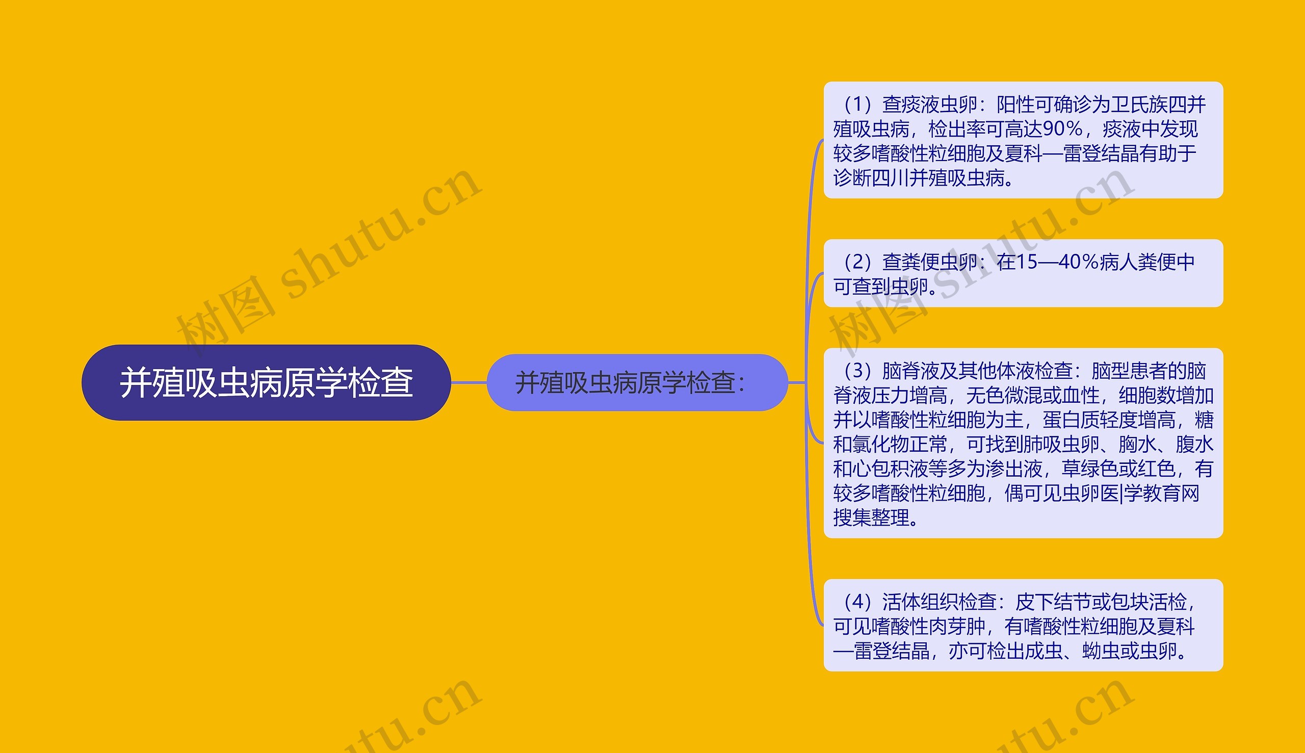 并殖吸虫病原学检查