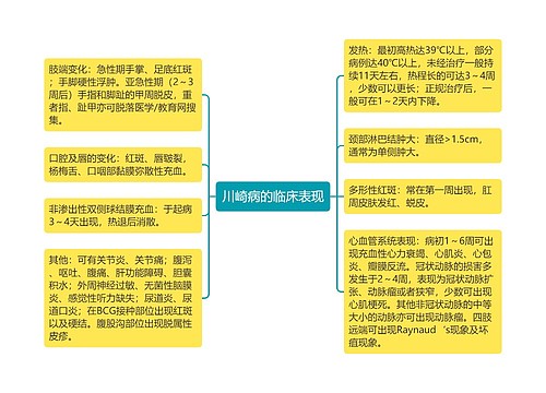 川崎病的临床表现