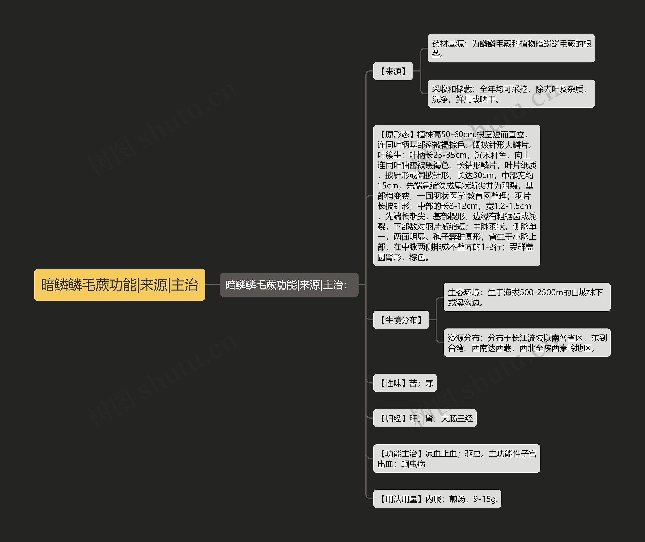 暗鳞鳞毛蕨功能|来源|主治思维导图