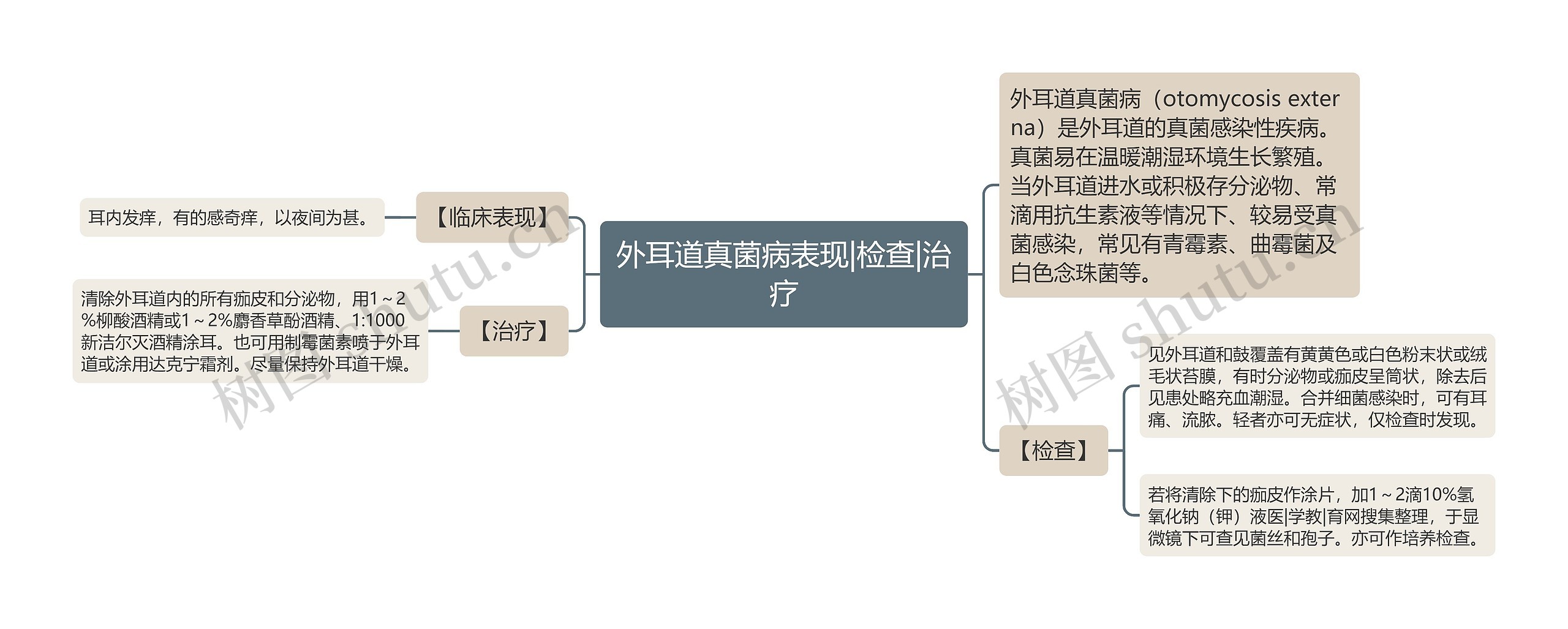 外耳道真菌病表现|检查|治疗 外耳道真菌病表现|检查|治疗